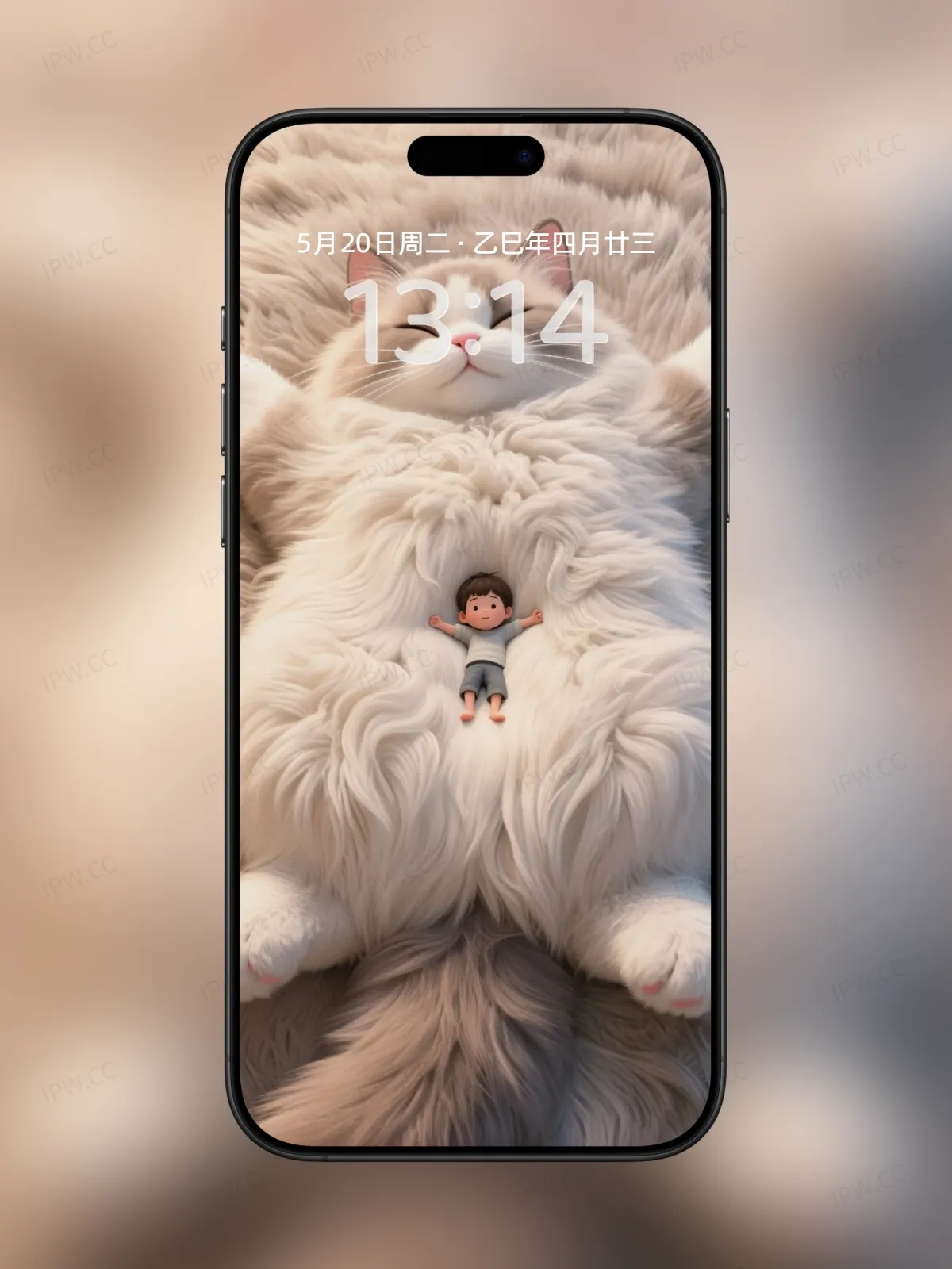 男孩躺在猫身上手机高清静态壁纸#20250728165531