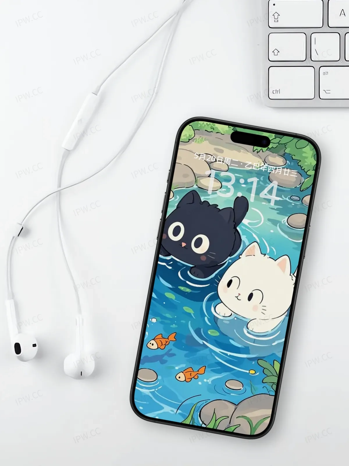 黑猫白猫戏水手机高清静态壁纸#20250730141259 05c735aece781ae