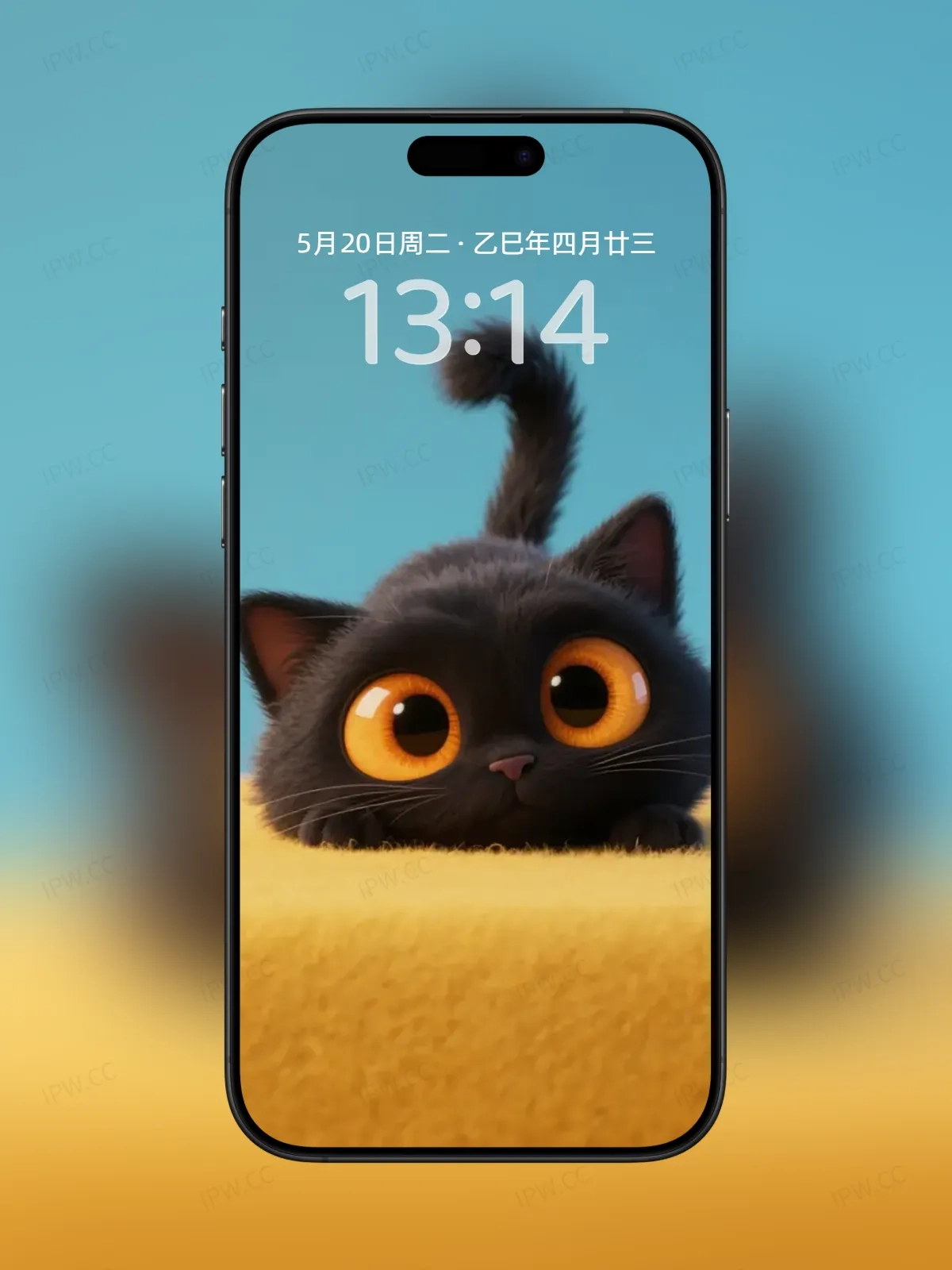 大眼睛黑猫手机高清静态壁纸#20250730141307 12d7c0efd5b583a