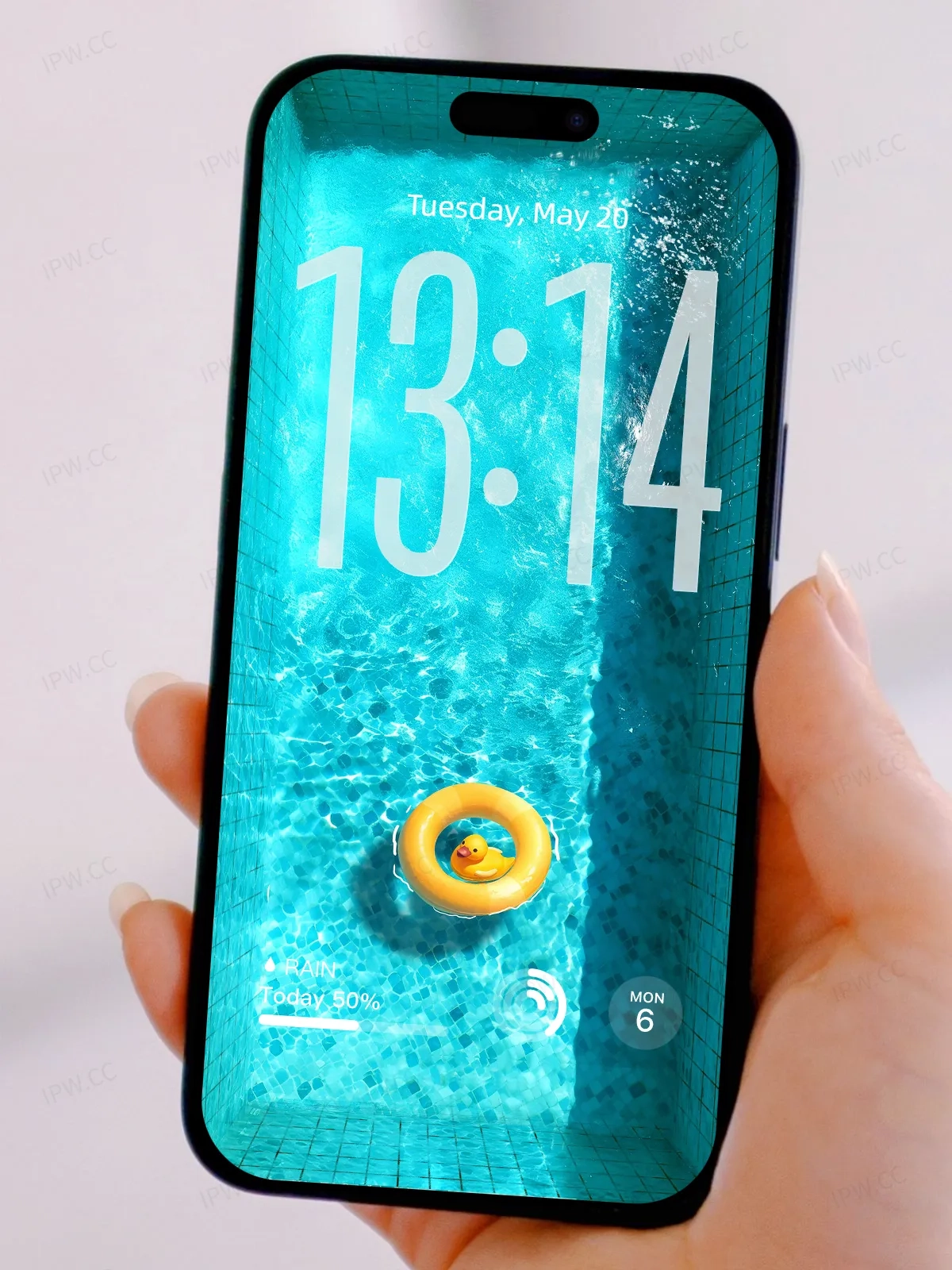 拉布布游泳池手机高清动态静态壁纸#20250725134317 18181d633889a26