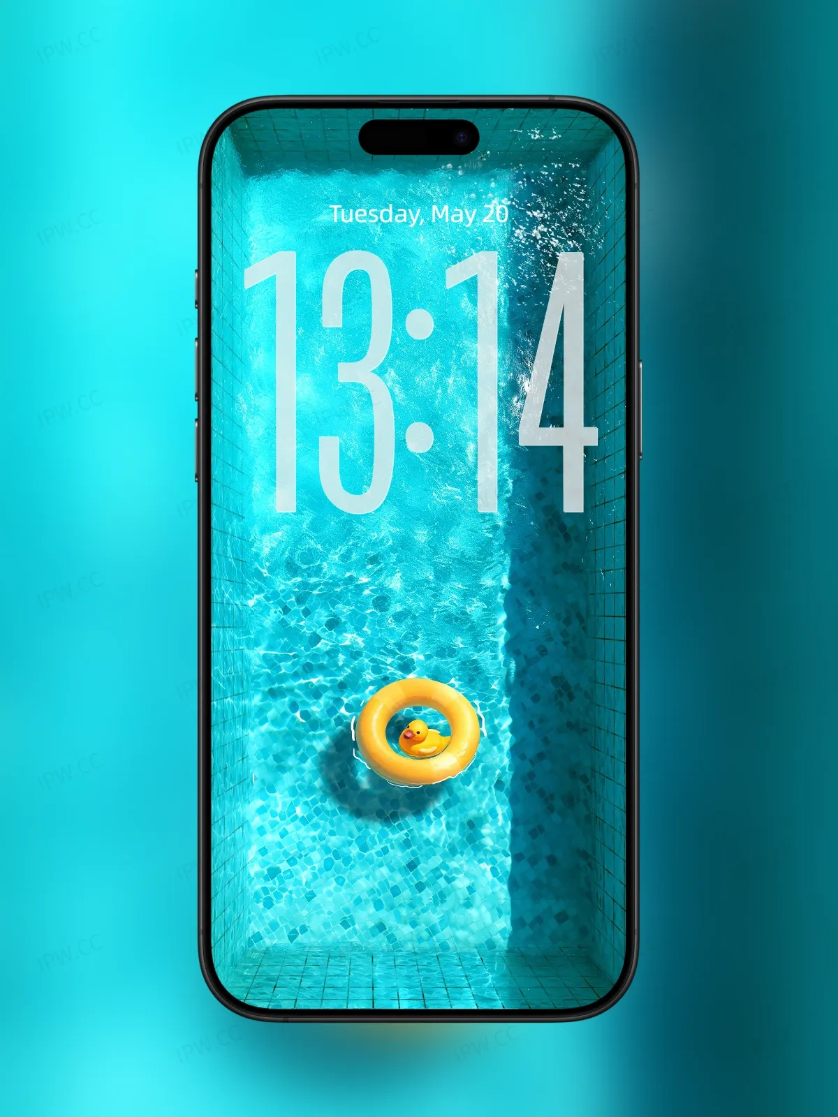 拉布布游泳池手机高清动态静态壁纸#20250725134317