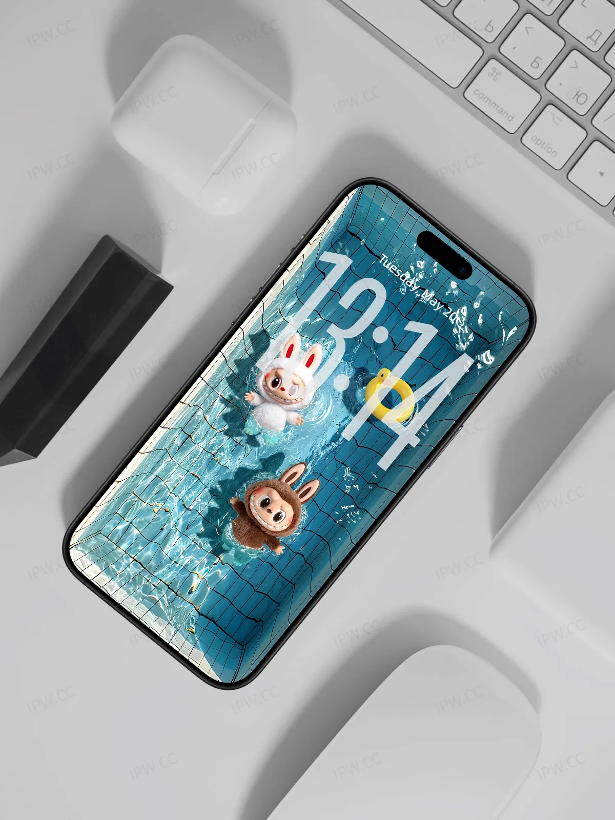 拉布布泳池手机高清动态静态壁纸#20250725134433 25b58483f9a554d 1