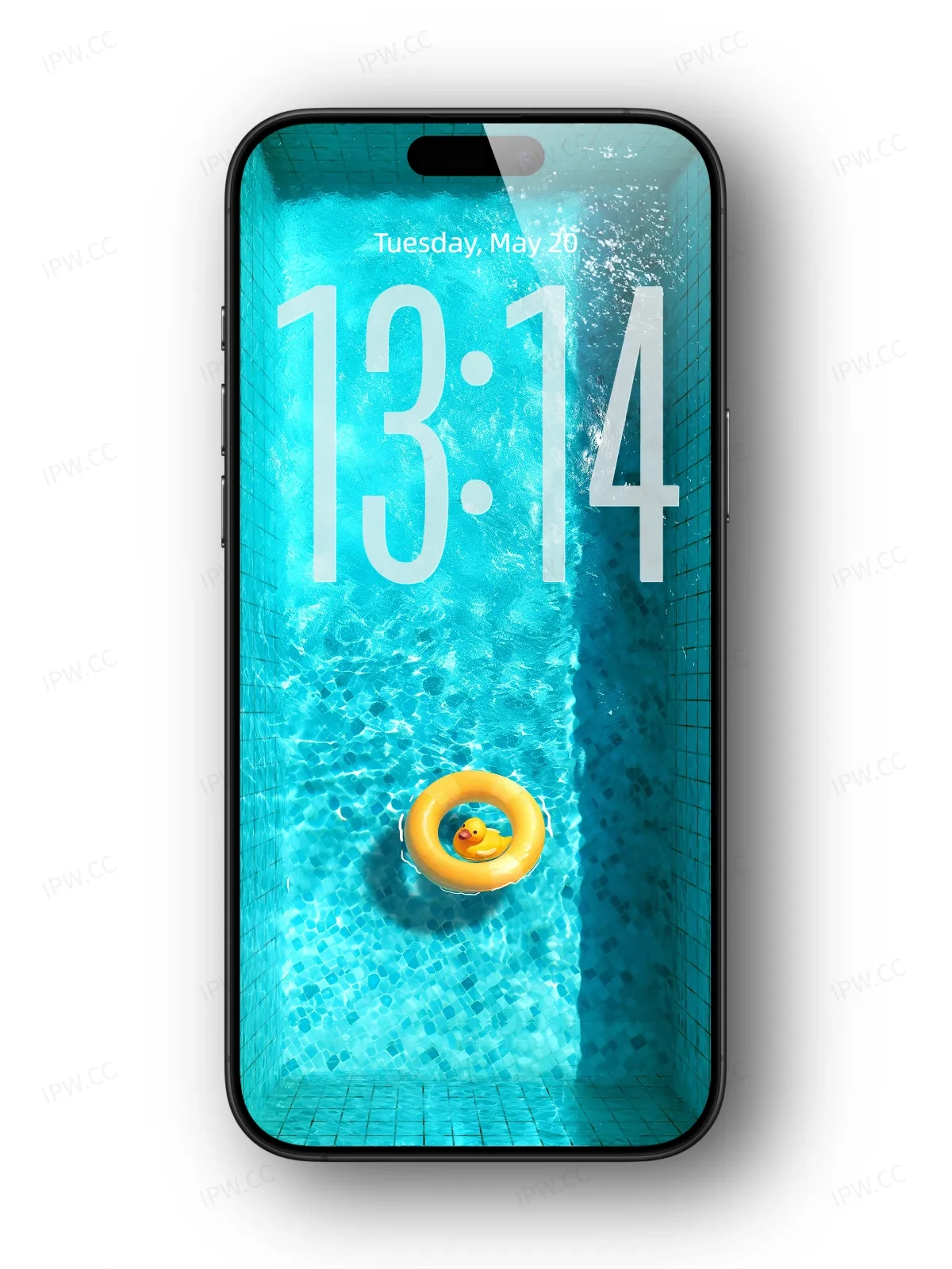 拉布布泳池手机高清动态静态壁纸#20250725134317 2dfd919e3bd1854 1
