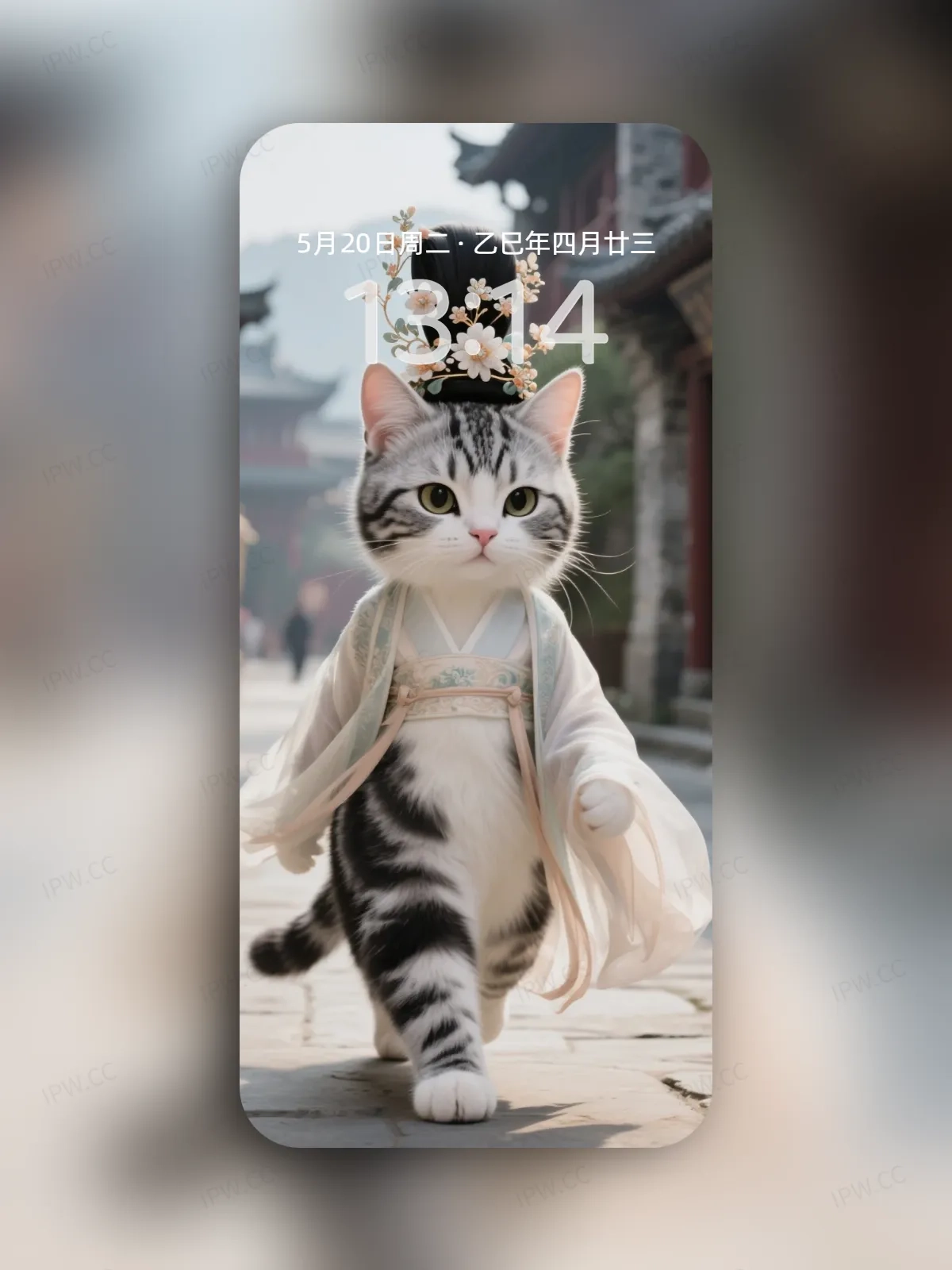 猫咪走路手机高清静态壁纸#20250728165044 2ed67f9d268eddd