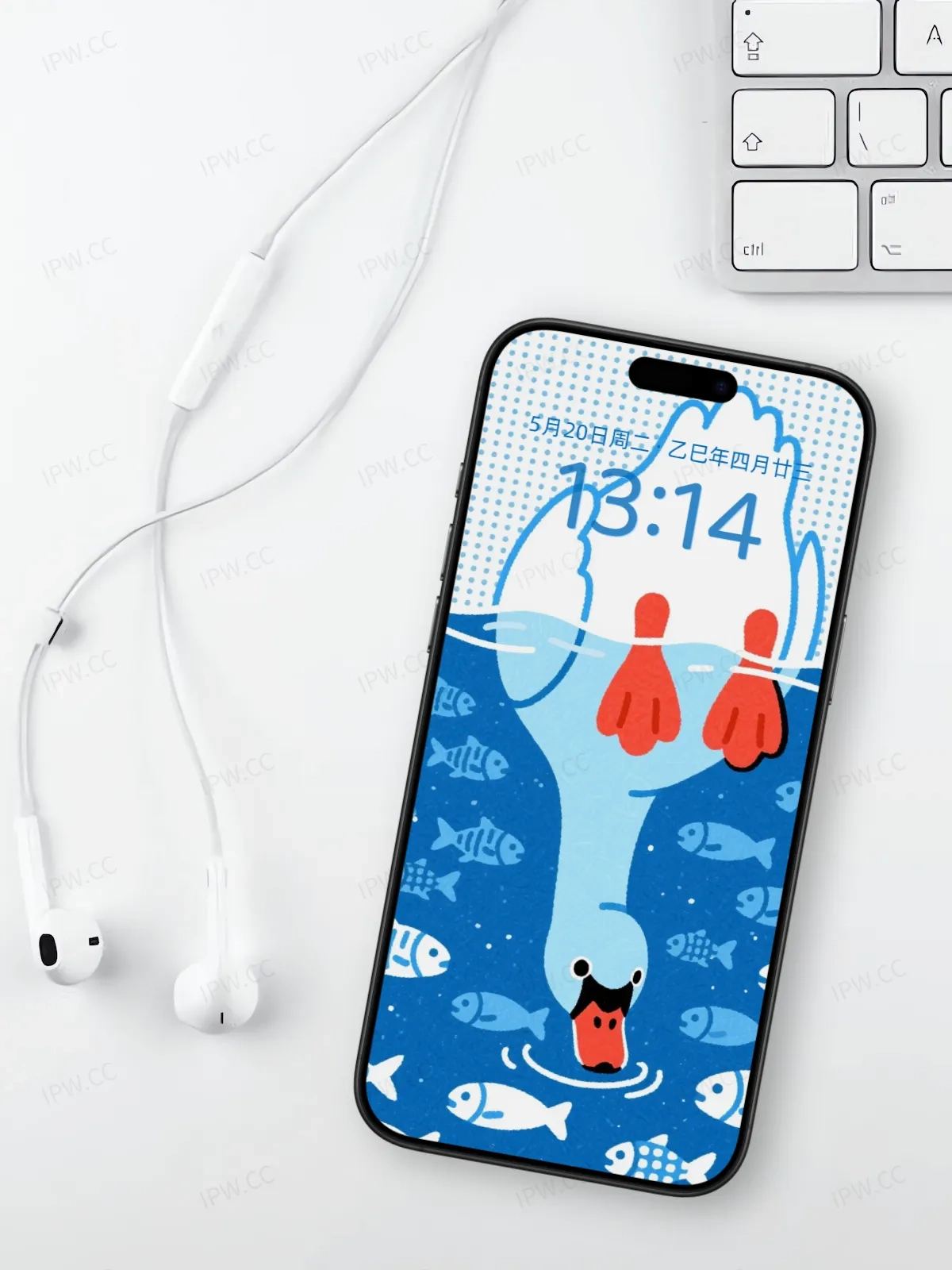 大白鹅喝水手机高清静态壁纸#20250728163127 323806f7115793f