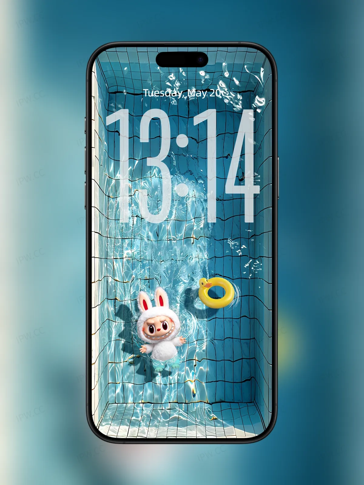 拉布布游泳池手机高清动态静态壁纸#20250725134237