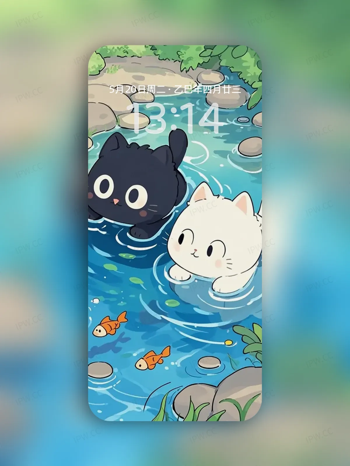 黑猫白猫戏水手机高清静态壁纸#20250730141259 38771816e6d60c2