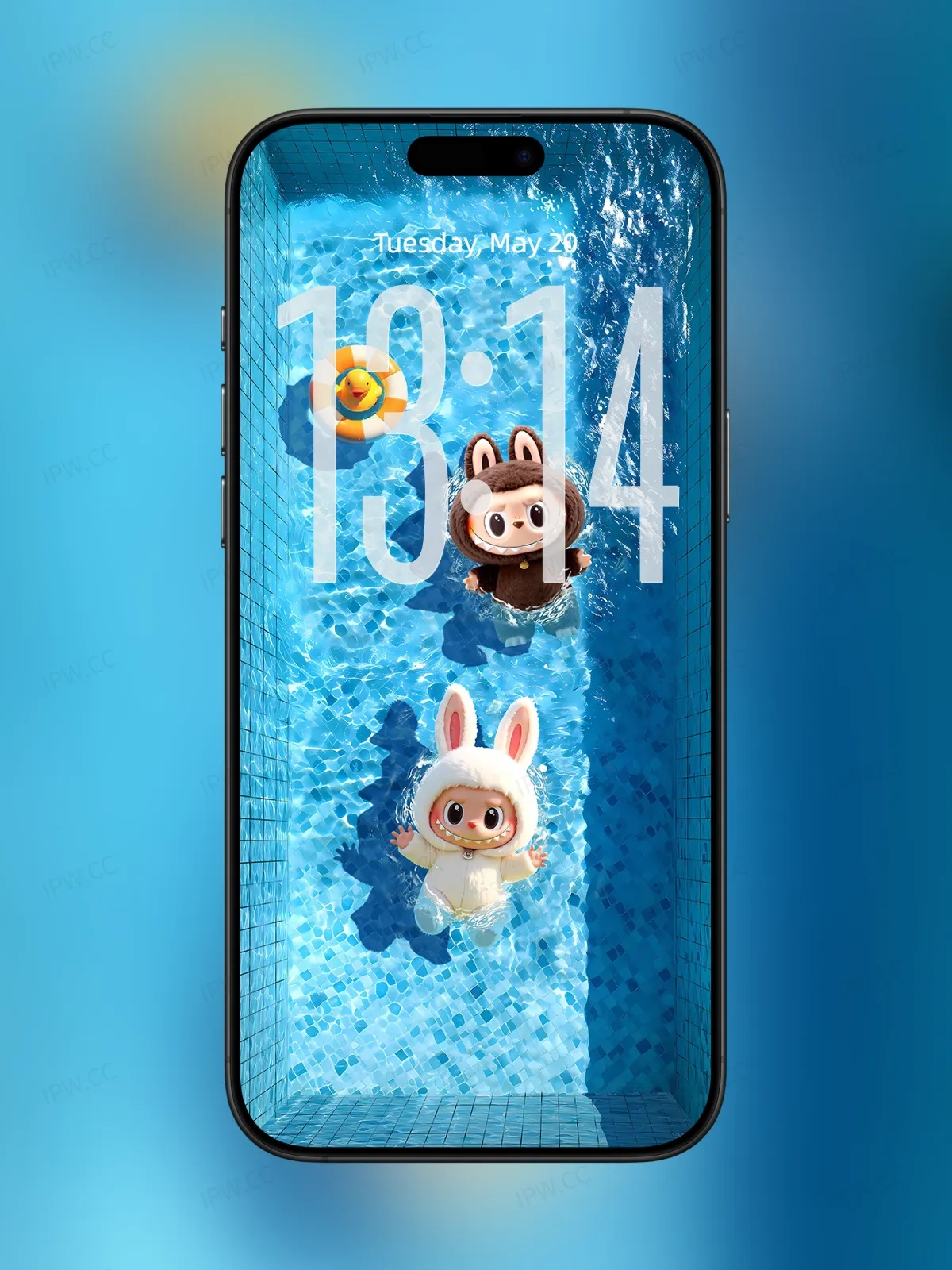 拉布布泳池手机高清动态静态壁纸#20250725121940 51f1b78bfb4e14c