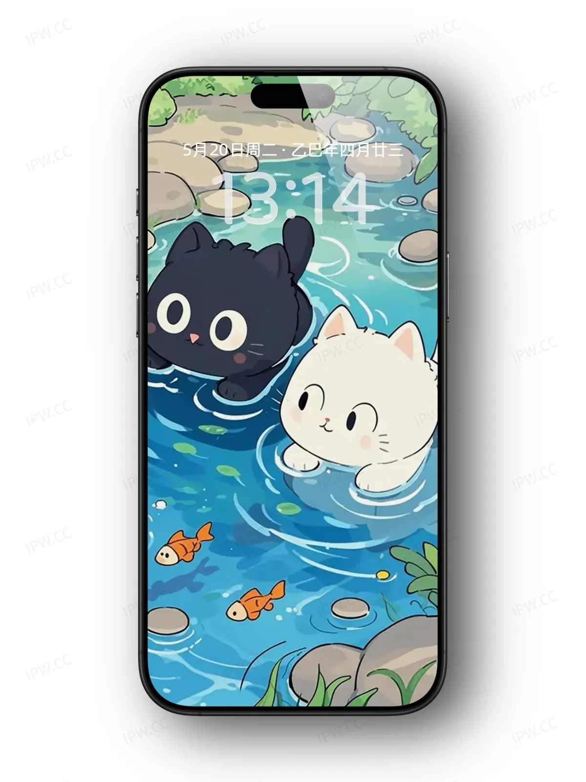 黑猫白猫戏水手机高清静态壁纸#20250730141259 57f27fe7d4d38cd