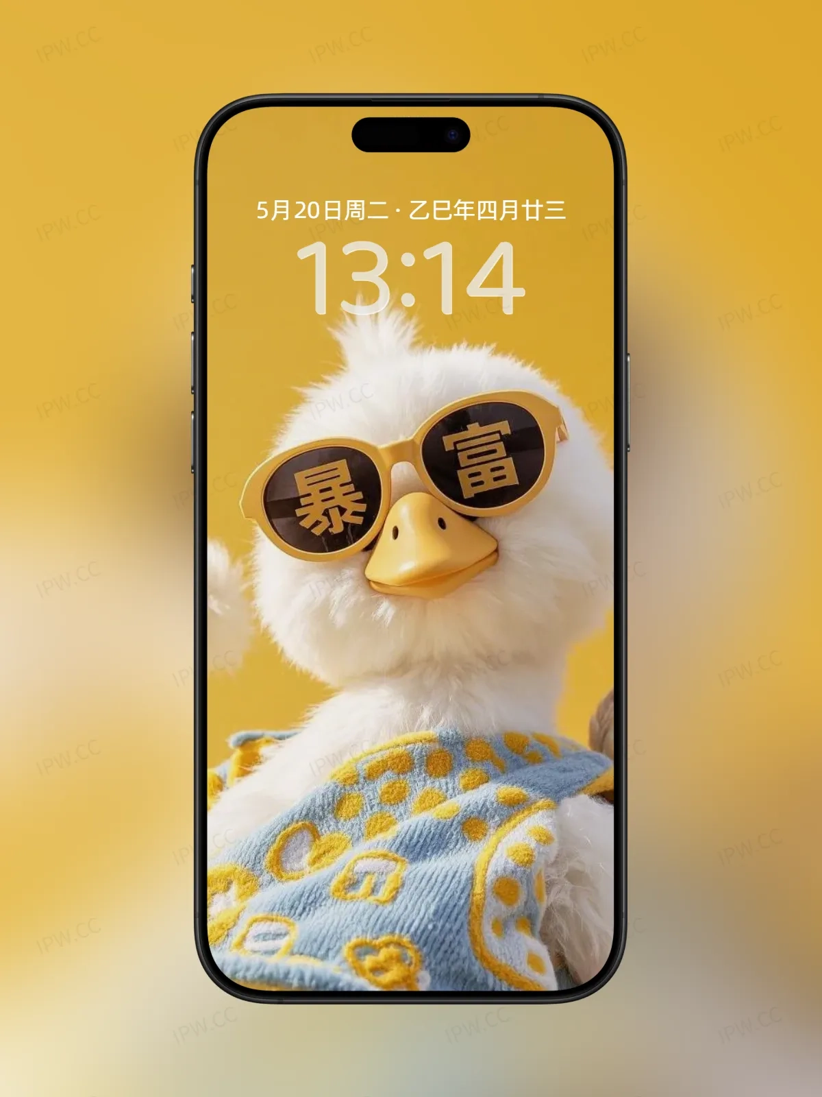 暴富小鸡仔眼镜手机高清静态壁纸#20250728173044