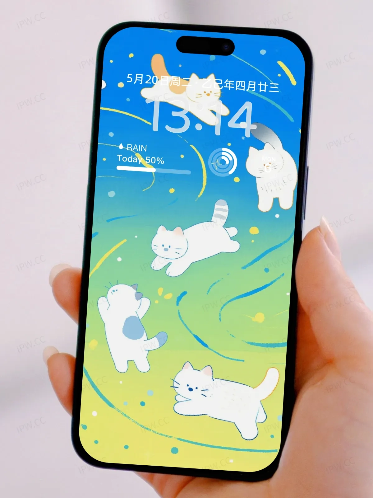 猫咪追逐手机高清静态壁纸#20250728172041 6229651cc590e6d