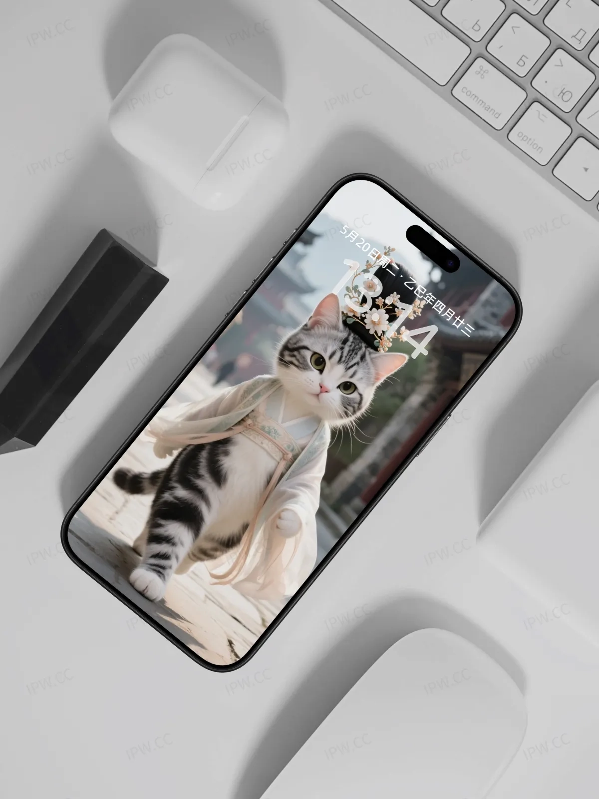 猫咪走路手机高清静态壁纸#20250728165044 6368b98d4cd2101