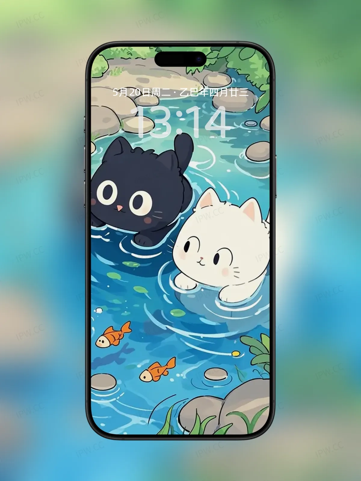 黑猫白猫戏水手机高清静态壁纸#20250730141259 64a3945396841eb