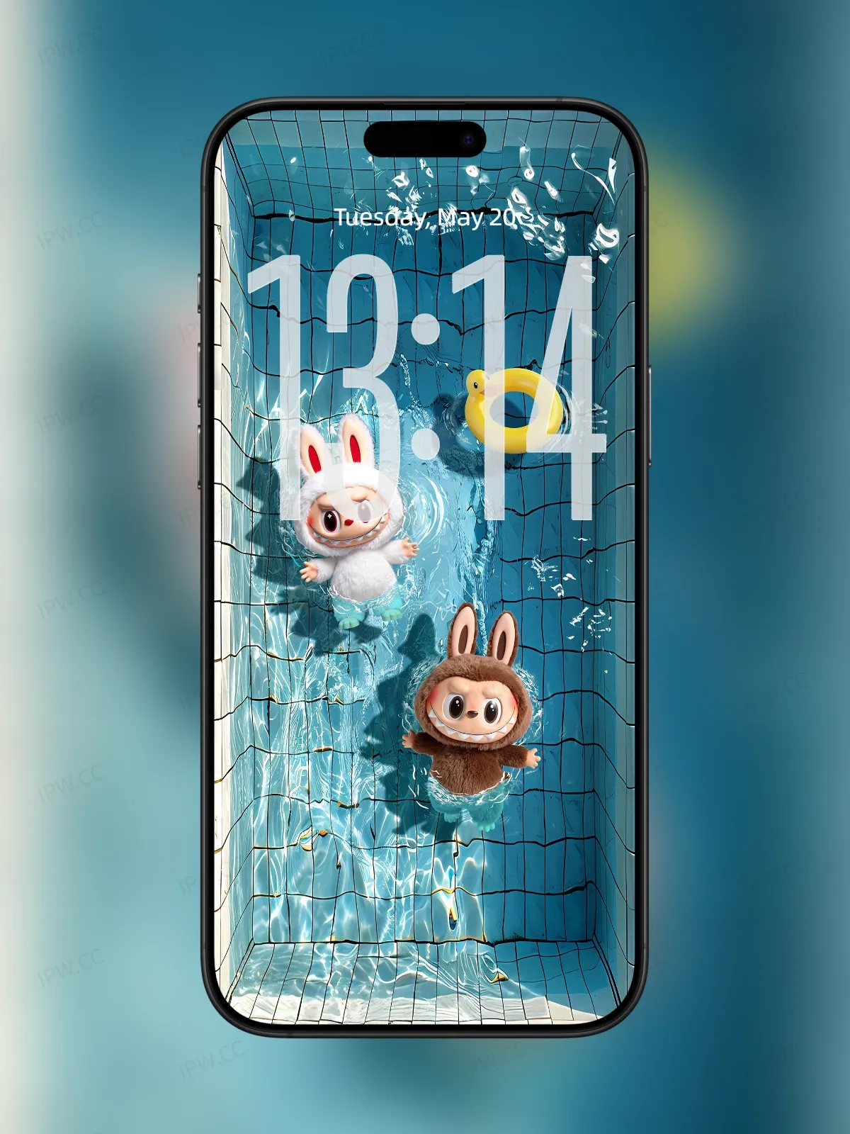 拉布布游泳池手机高清动态静态壁纸#20250725134433