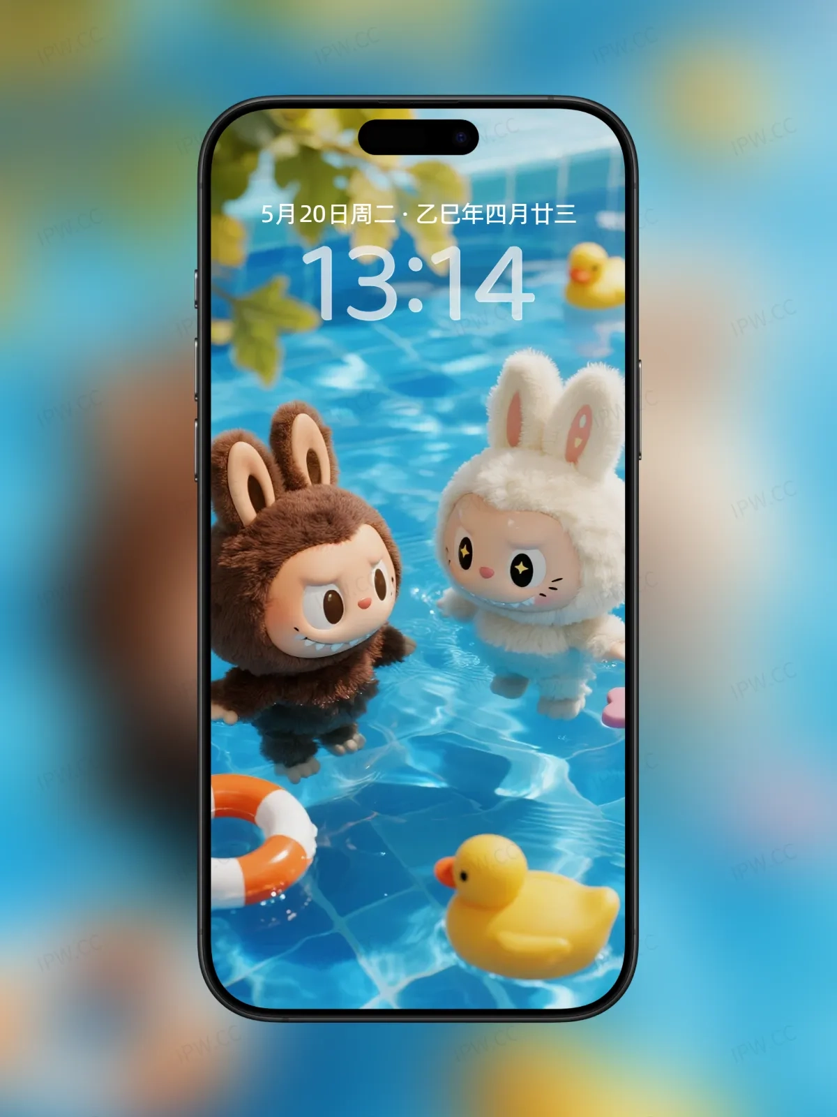 拉布布游泳池手机高清静态壁纸#20250728172136
