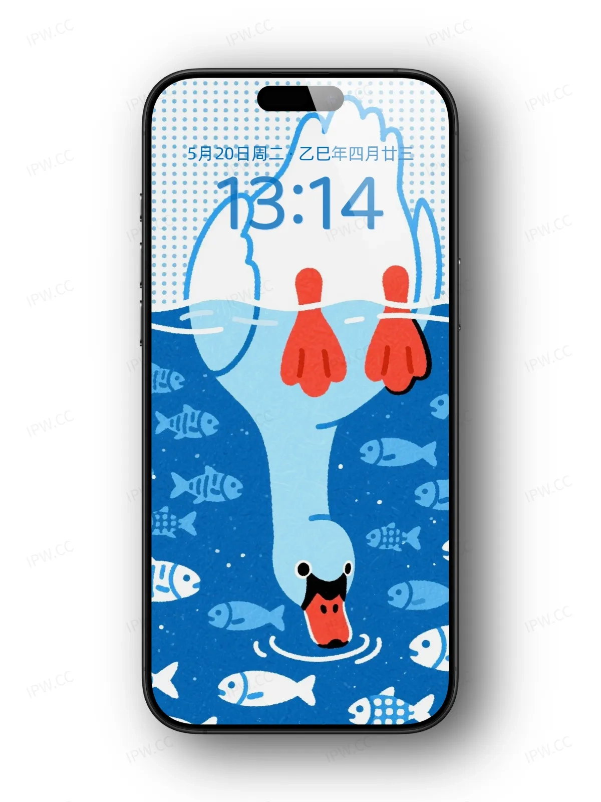 大白鹅喝水手机高清静态壁纸#20250728163127 76c3e00ced6d3f1