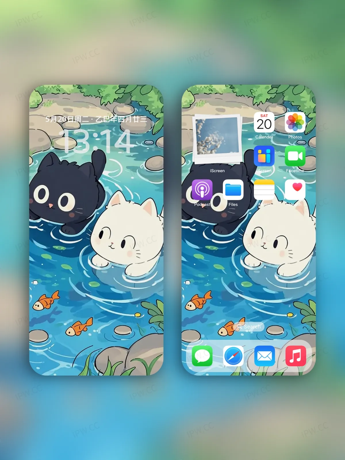 黑猫白猫戏水手机高清静态壁纸#20250730141259 77e93abbfc3f326