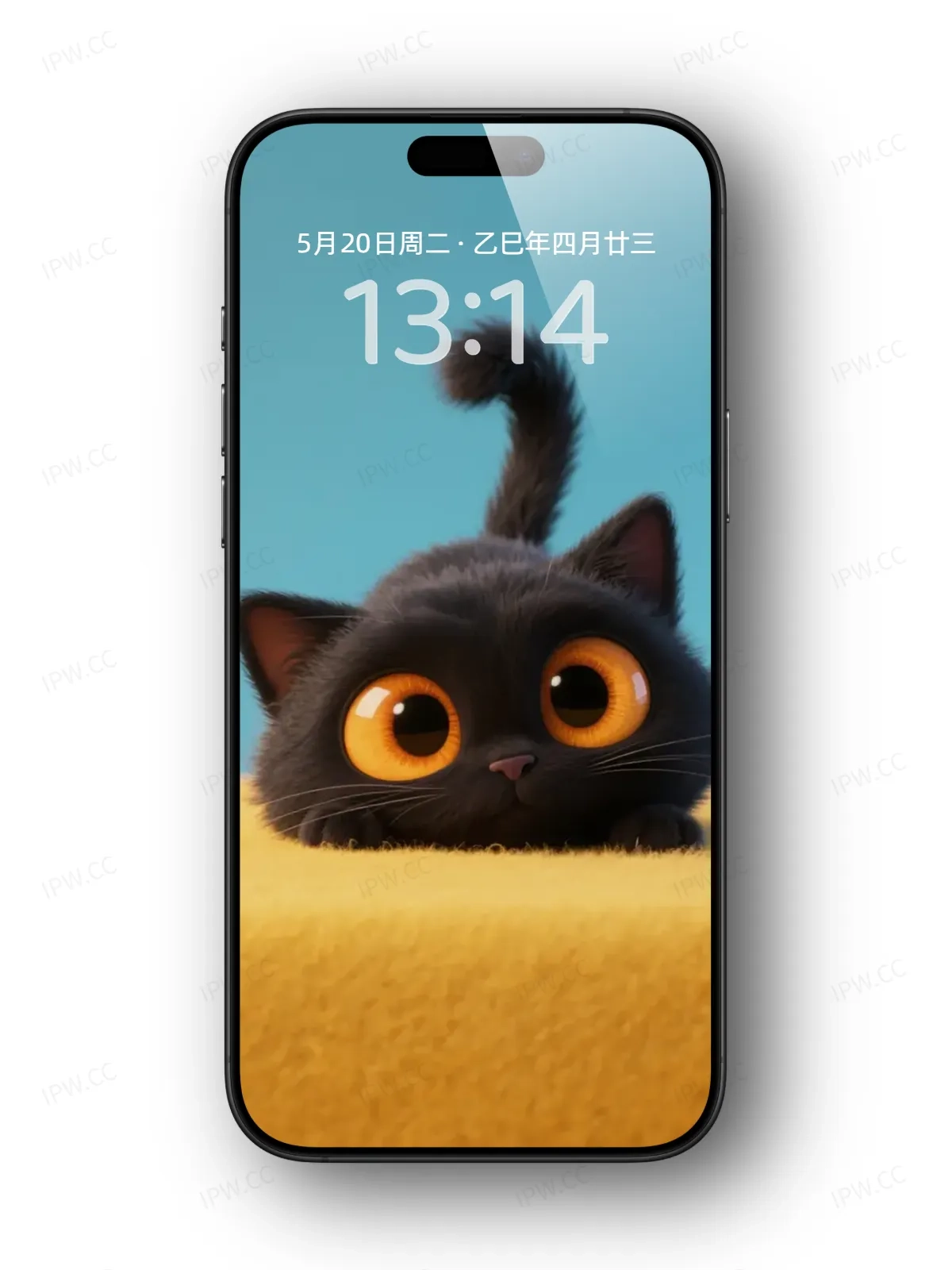 大眼睛黑猫手机高清静态壁纸#20250730141307 801ef040bd16220