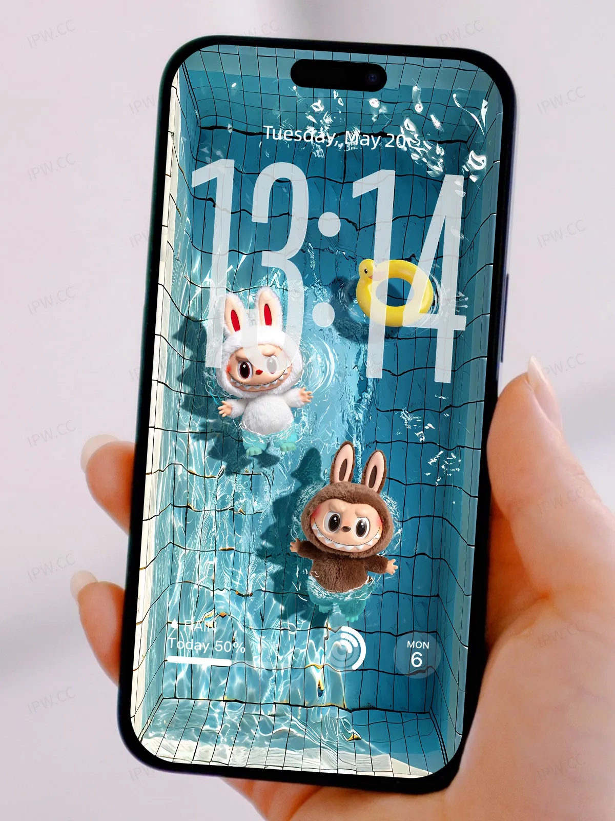 拉布布泳池手机高清动态静态壁纸#20250725134433 85f3dac70196649 1