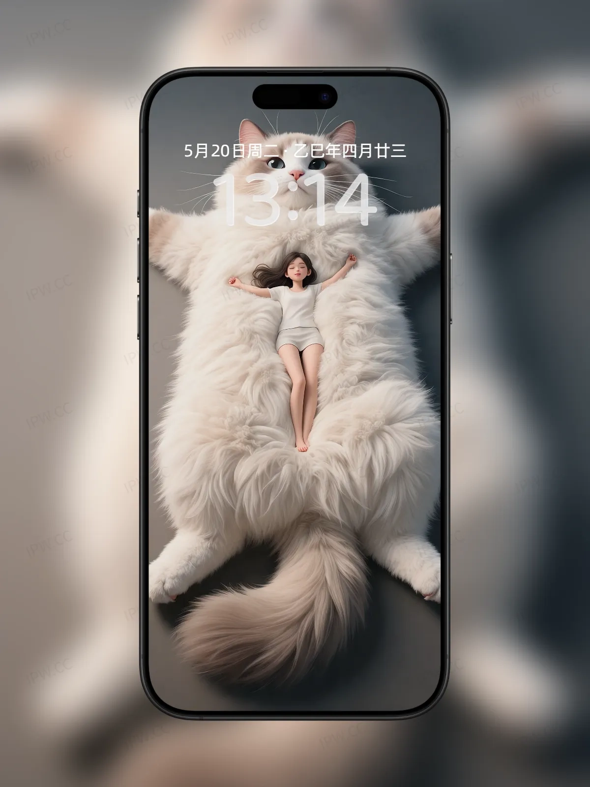 女孩躺在猫身上手机高清静态壁纸#20250728163815 8ca18bdd85ab783