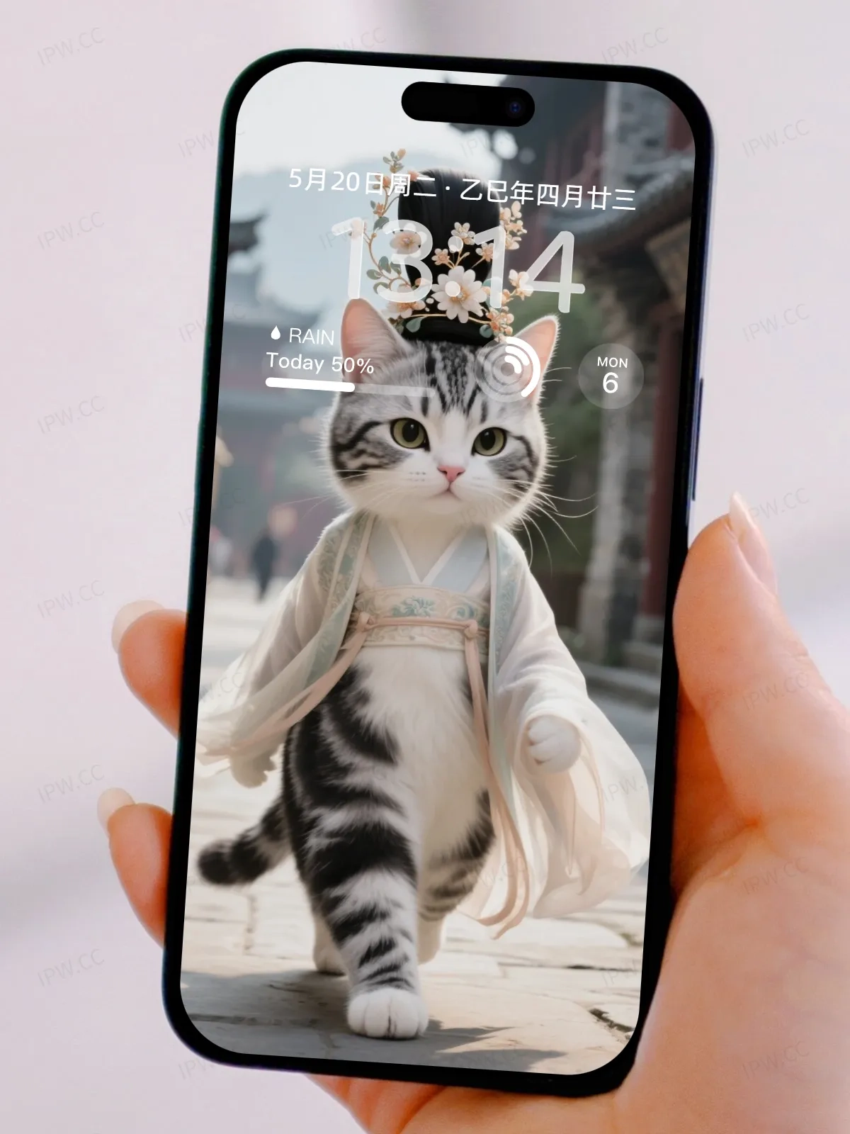 猫咪走路手机高清静态壁纸#20250728165044 8ee51c317753811