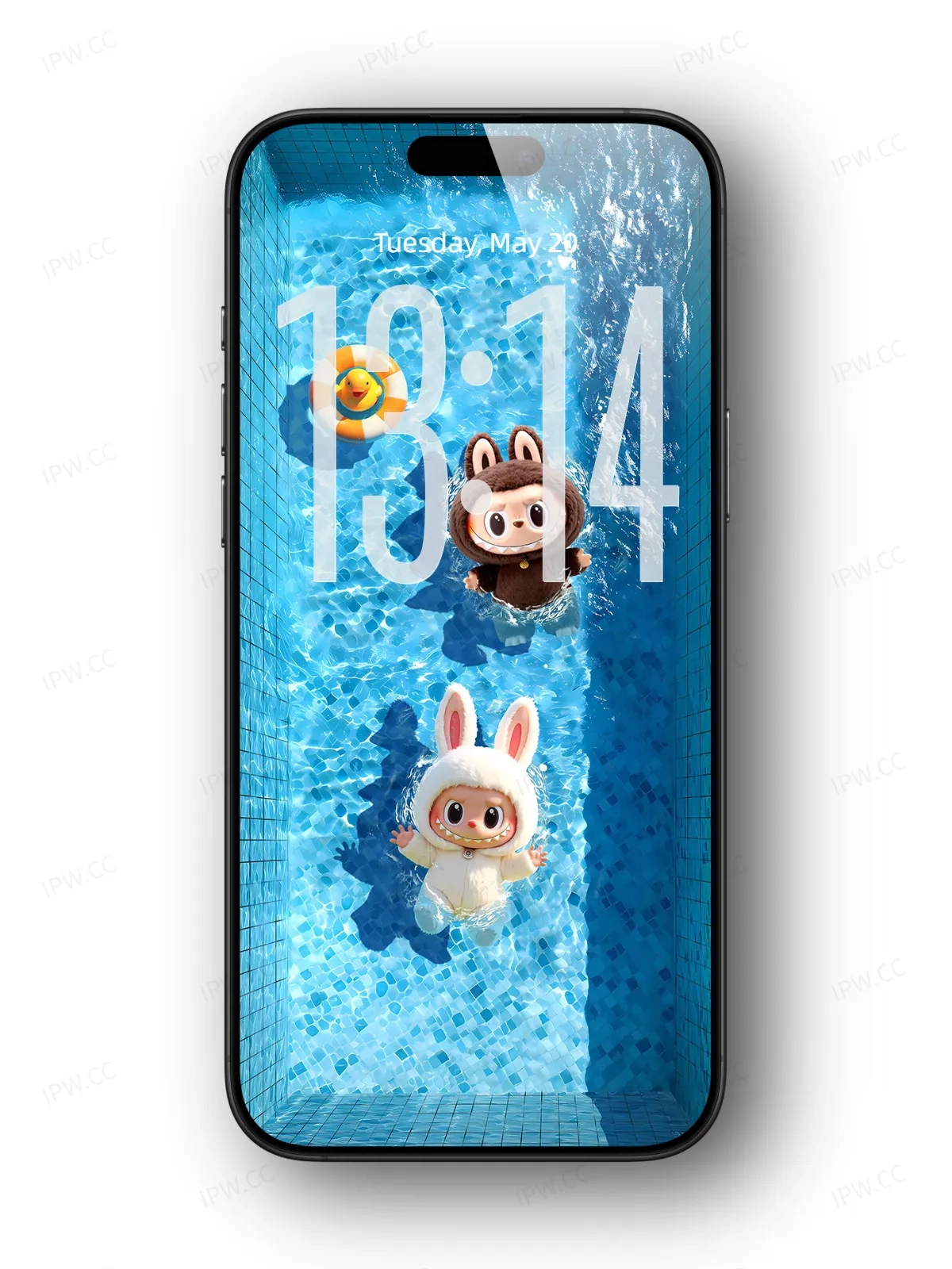拉布布泳池手机高清动态静态壁纸#20250725121940