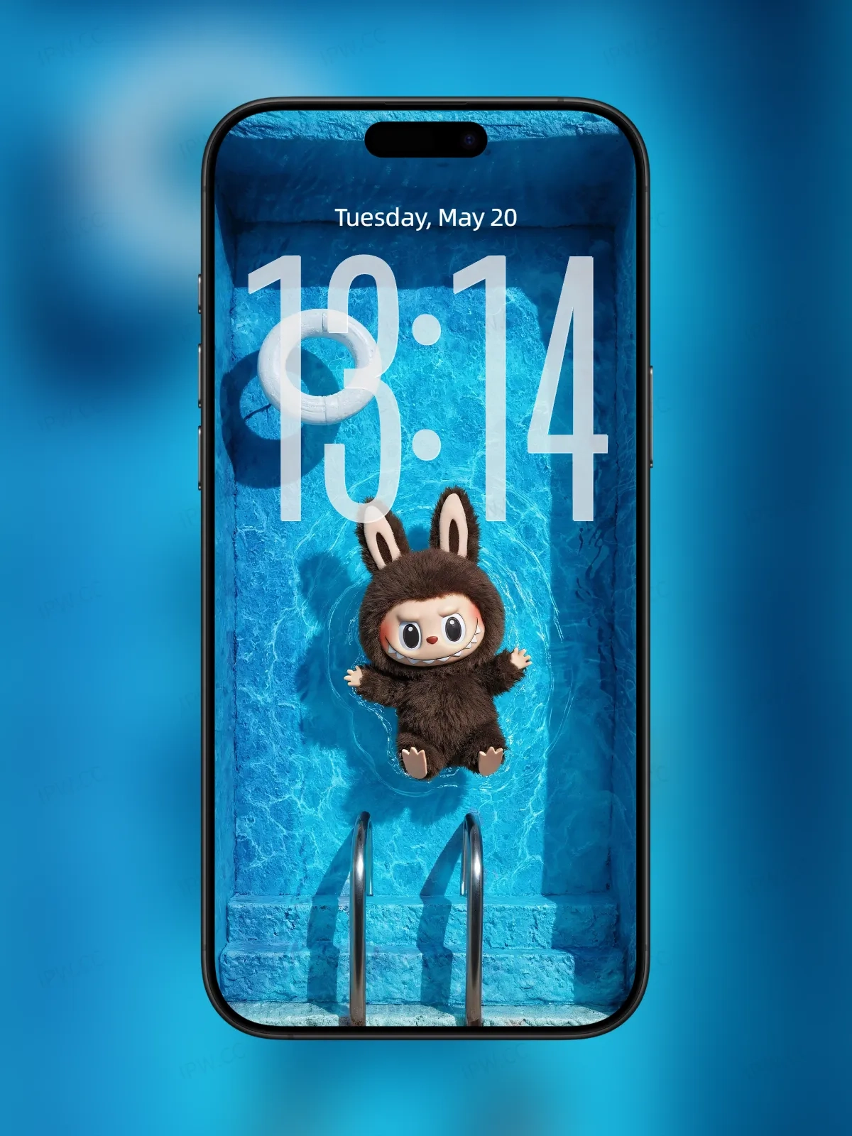 拉布布泳池手机高清动态静态壁纸#20250725134353