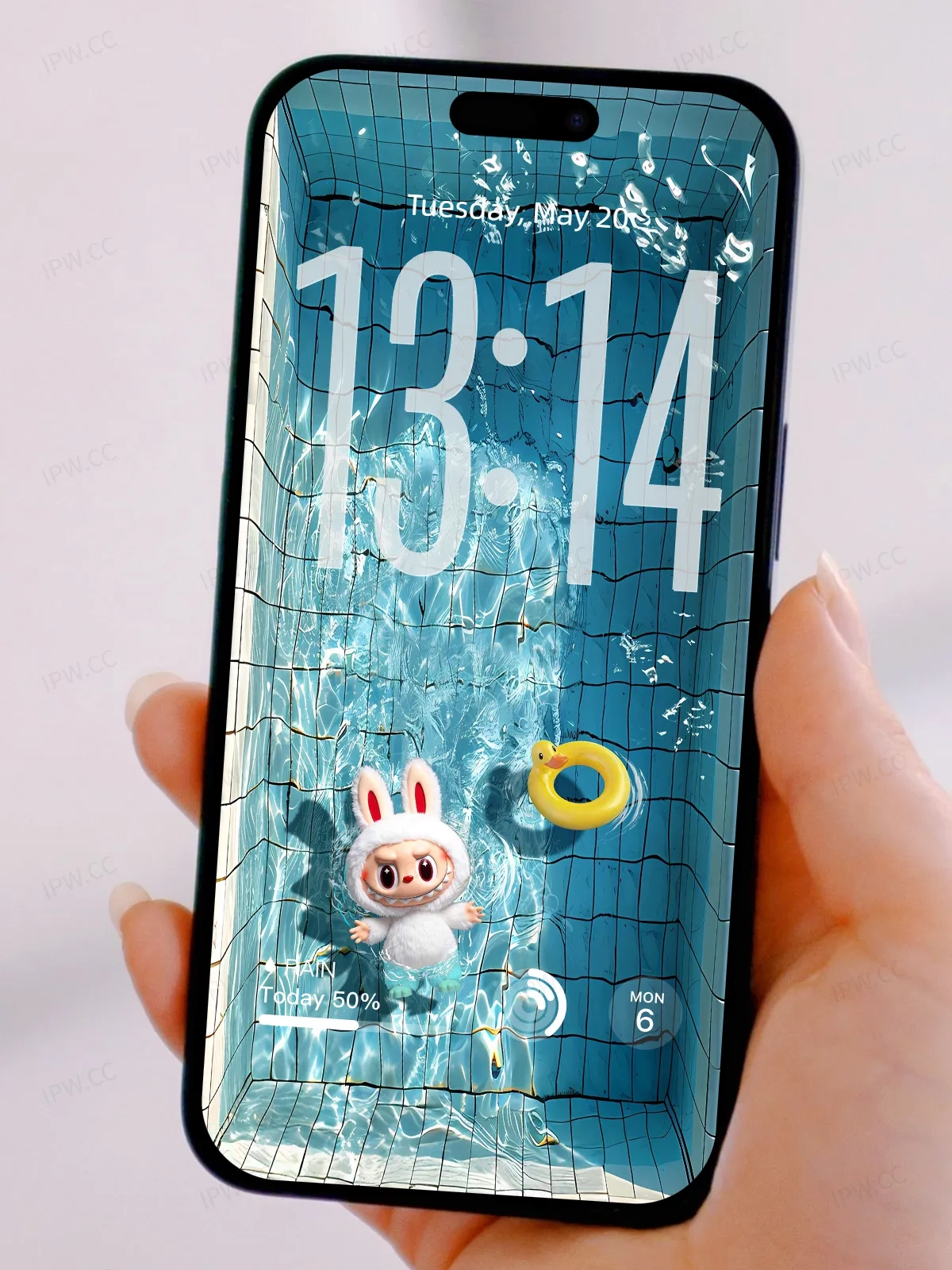 拉布布游泳池手机高清动态静态壁纸#20250725134237 bb326b292e36939