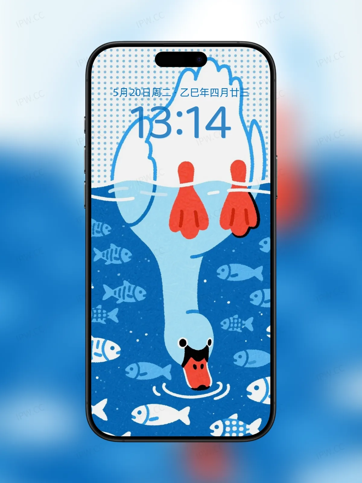 大白鹅喝水手机高清静态壁纸#20250728163127