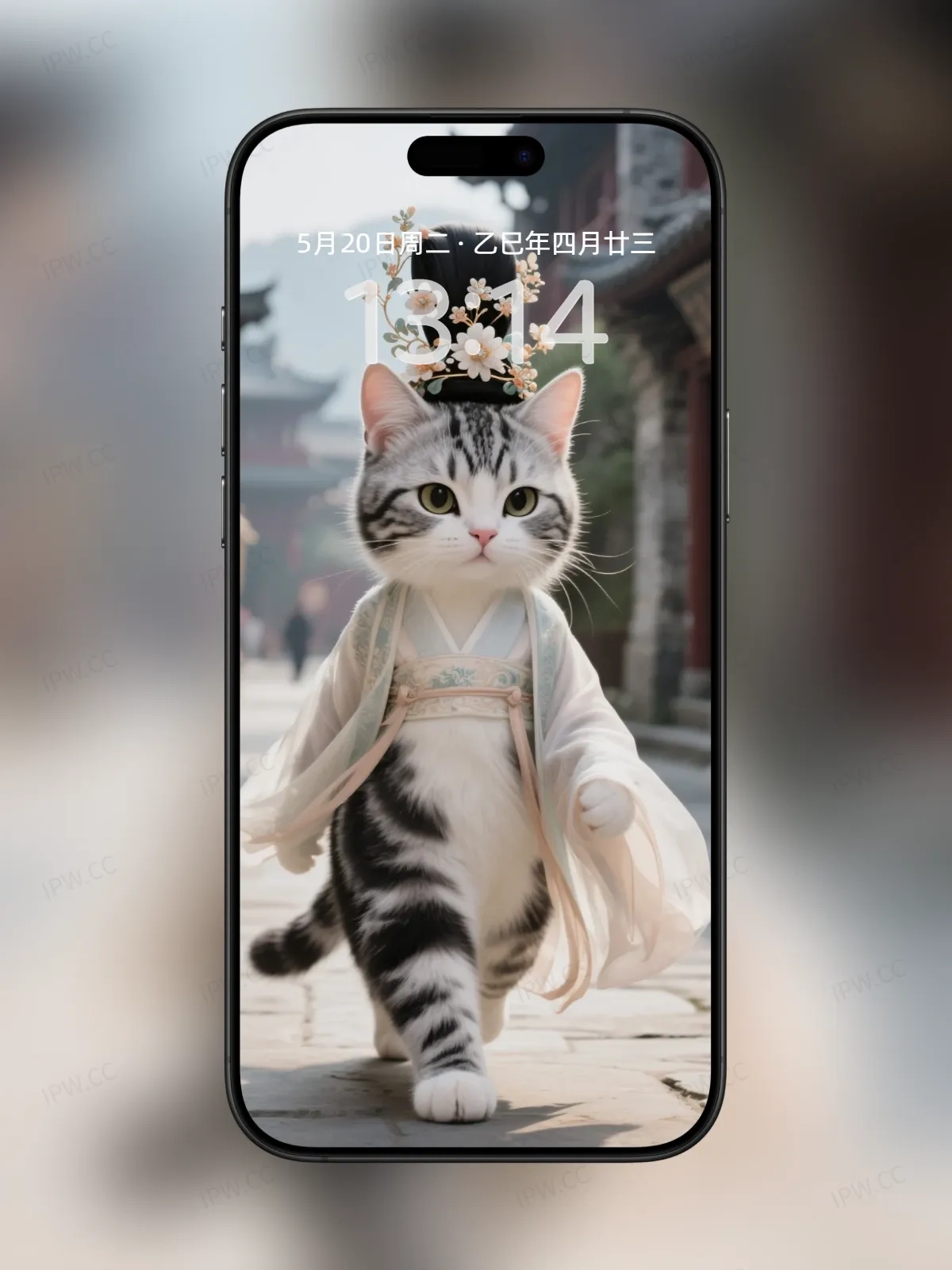 猫咪走路手机高清静态壁纸#20250728165044