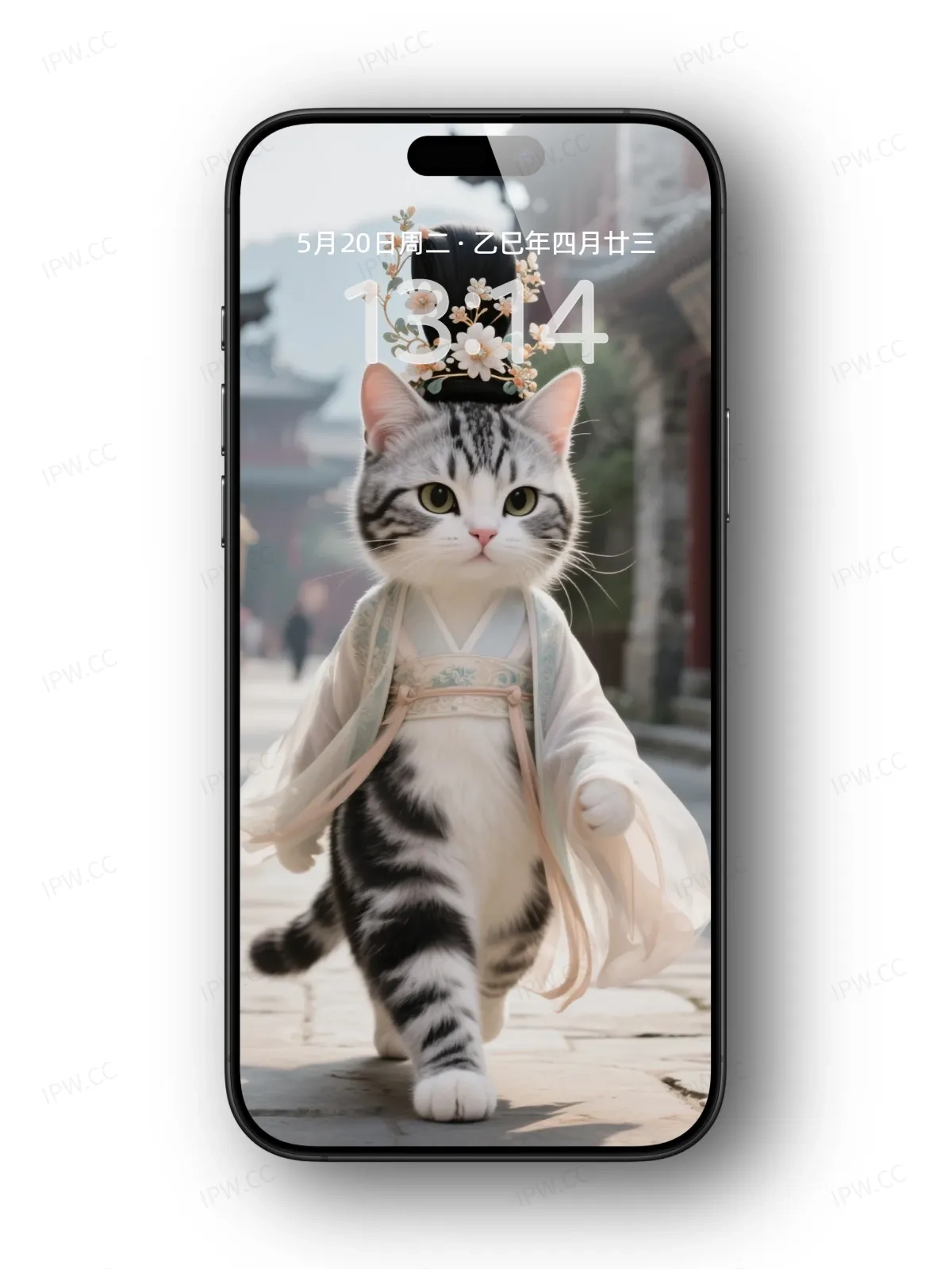 猫咪走路手机高清静态壁纸#20250728165044 ceb854247be32ab