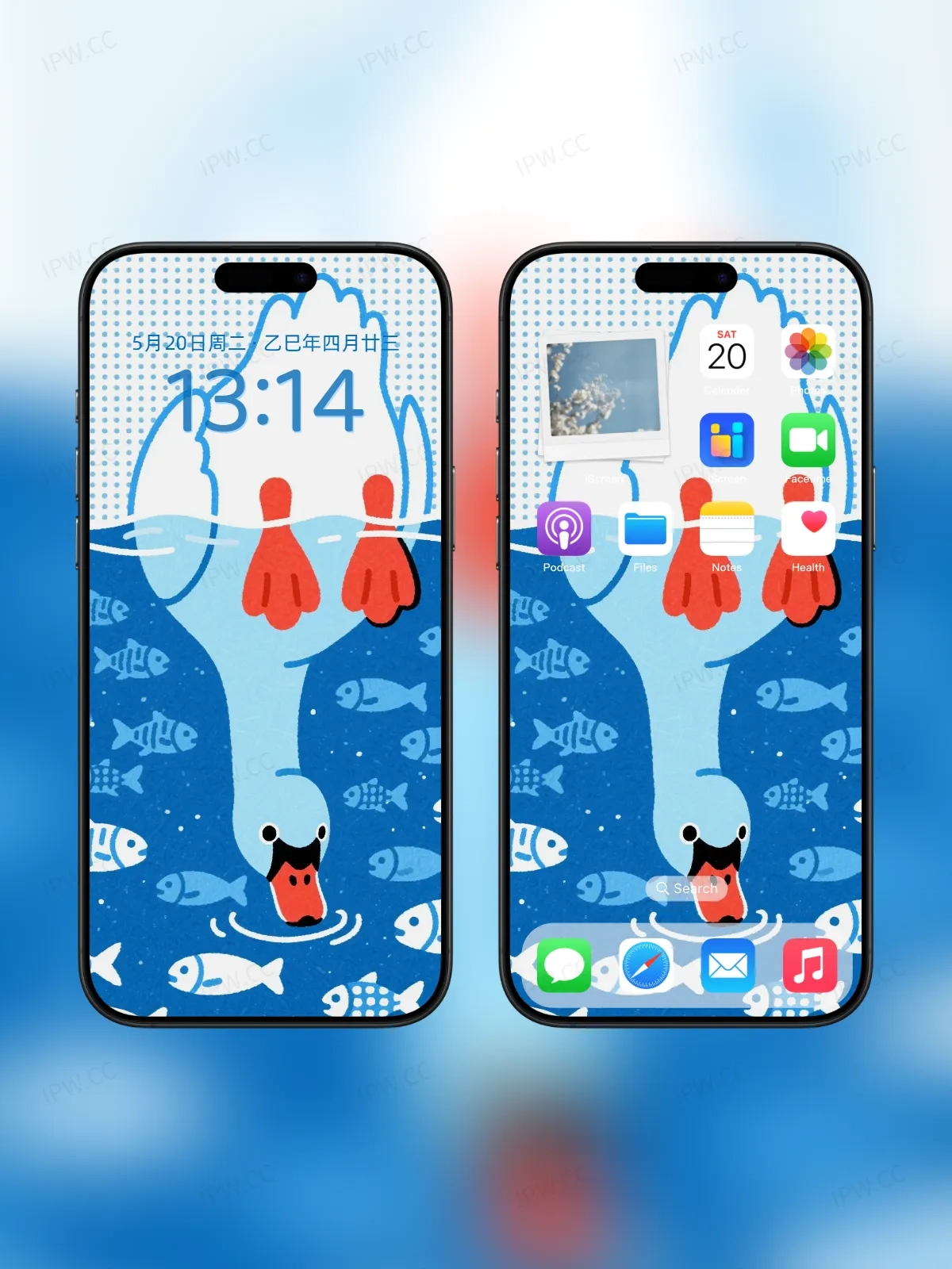 大白鹅喝水手机高清静态壁纸#20250728163127 d429eb3e8d19969