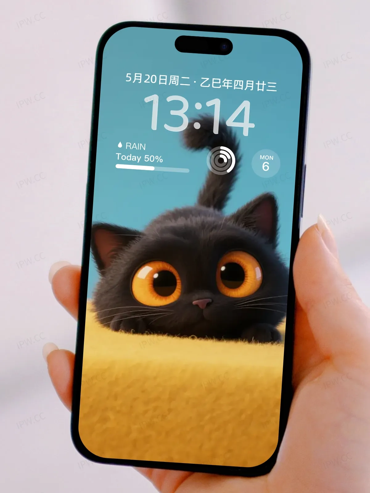 大眼睛黑猫手机高清静态壁纸#20250730141307 e5283700b1ba64c