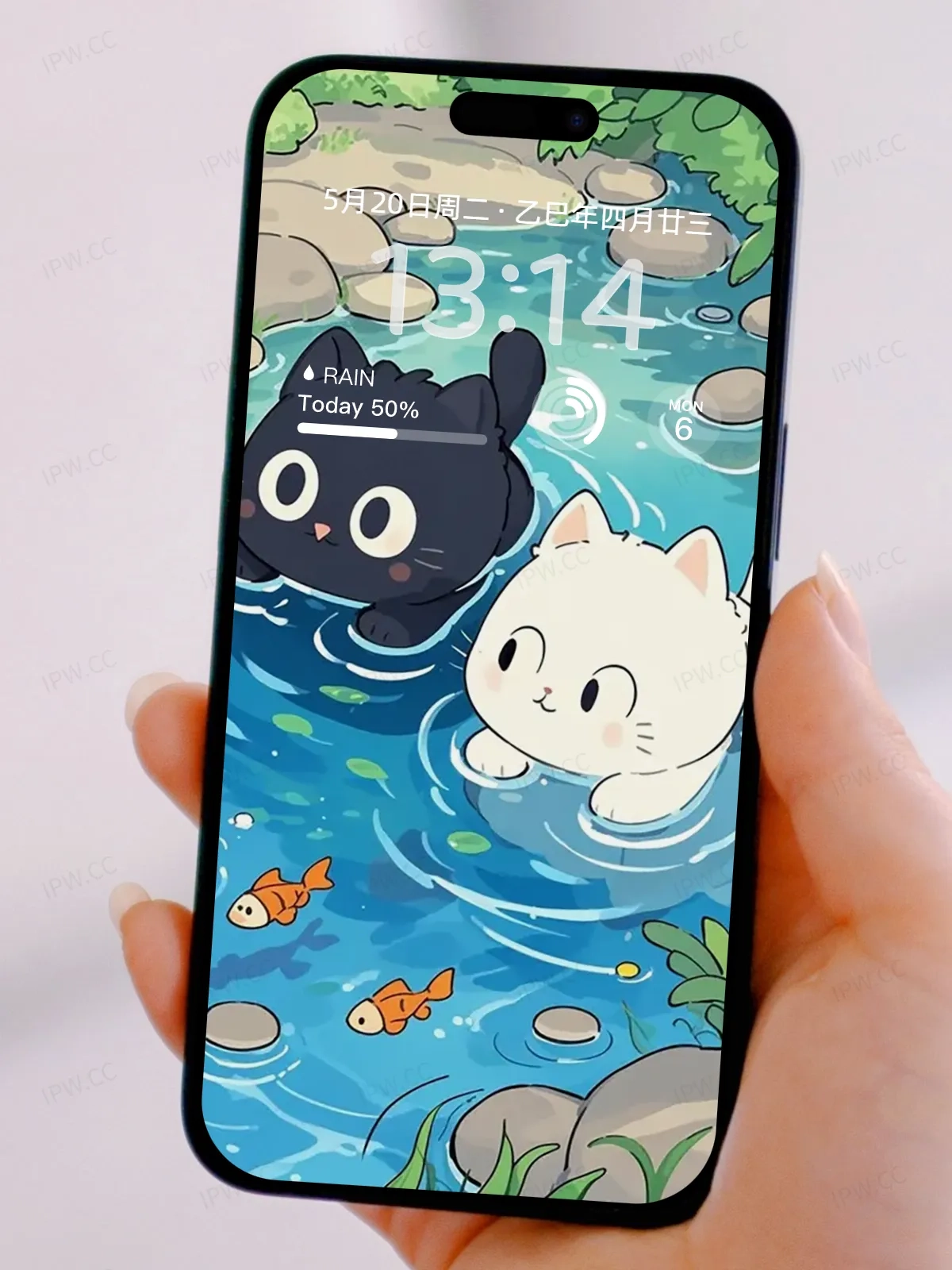 黑猫白猫戏水手机高清静态壁纸#20250730141259 e54735a6f7657de