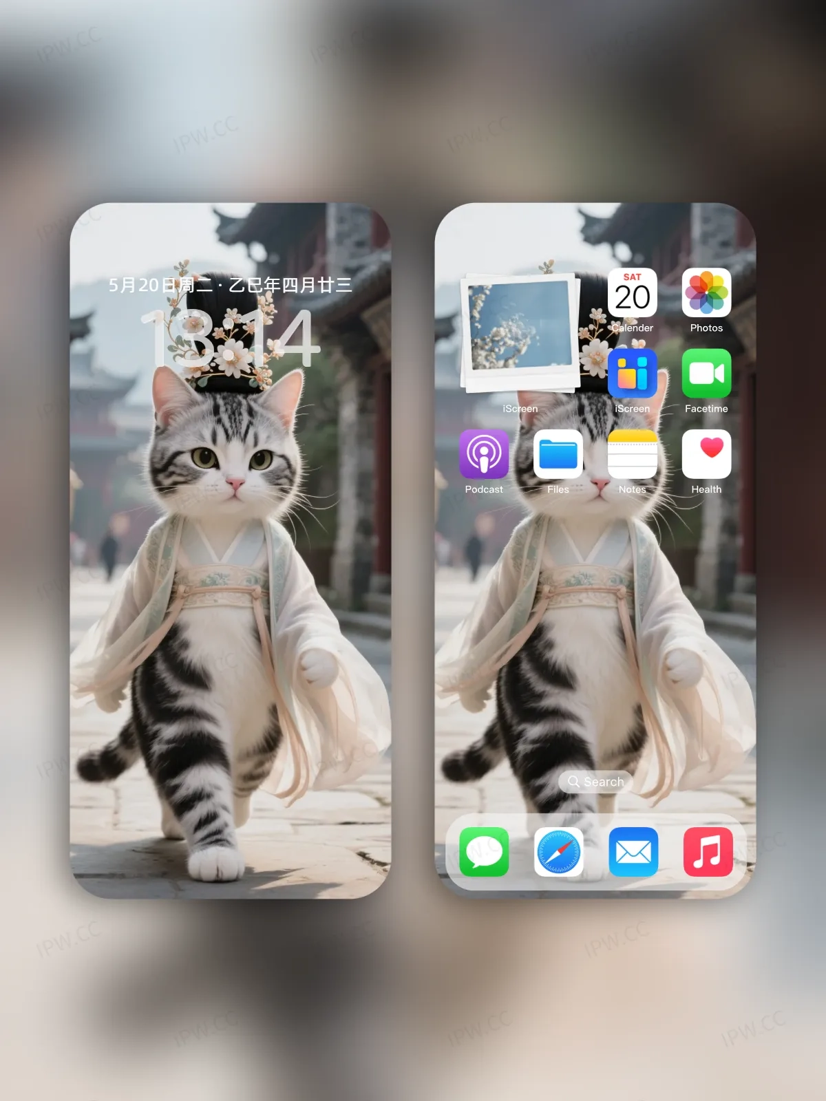 猫咪走路手机高清静态壁纸#20250728165044 e7b87c0ecf44c0d