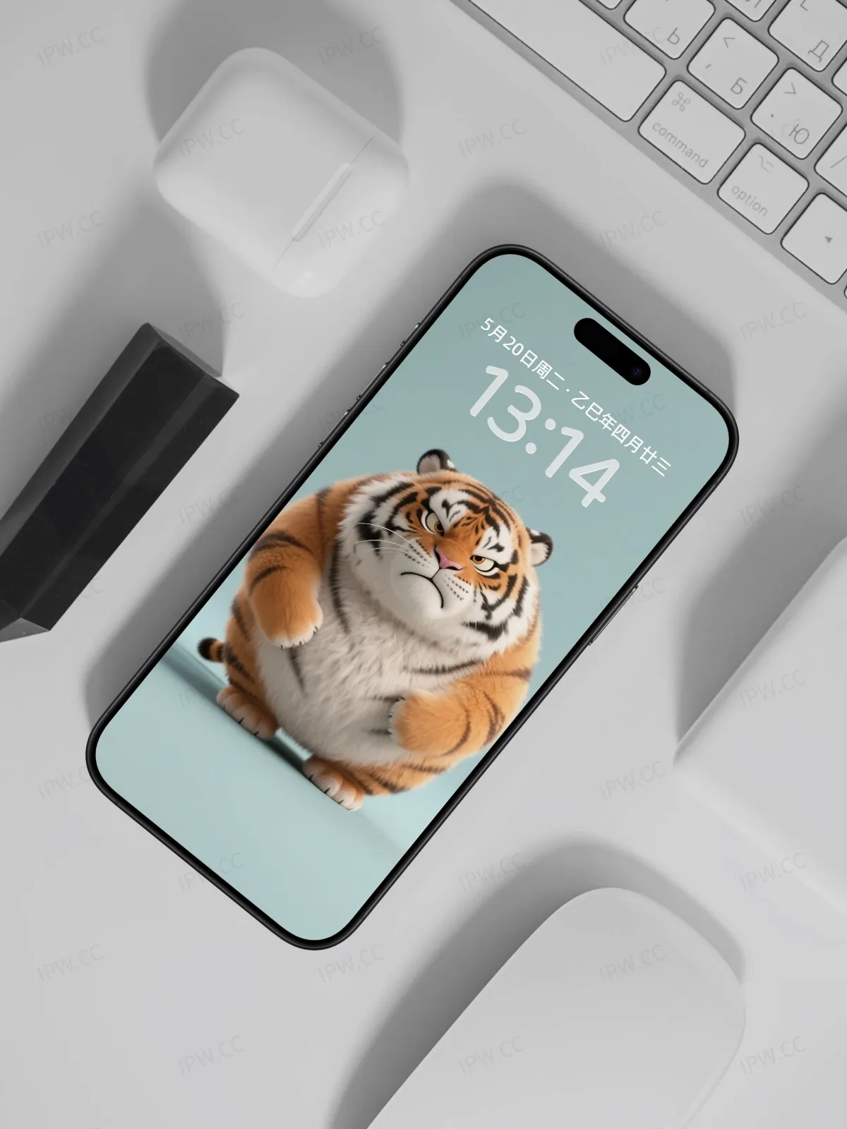 胖老虎手机高清静态壁纸#20250728165216 e915918d8ebf8d2