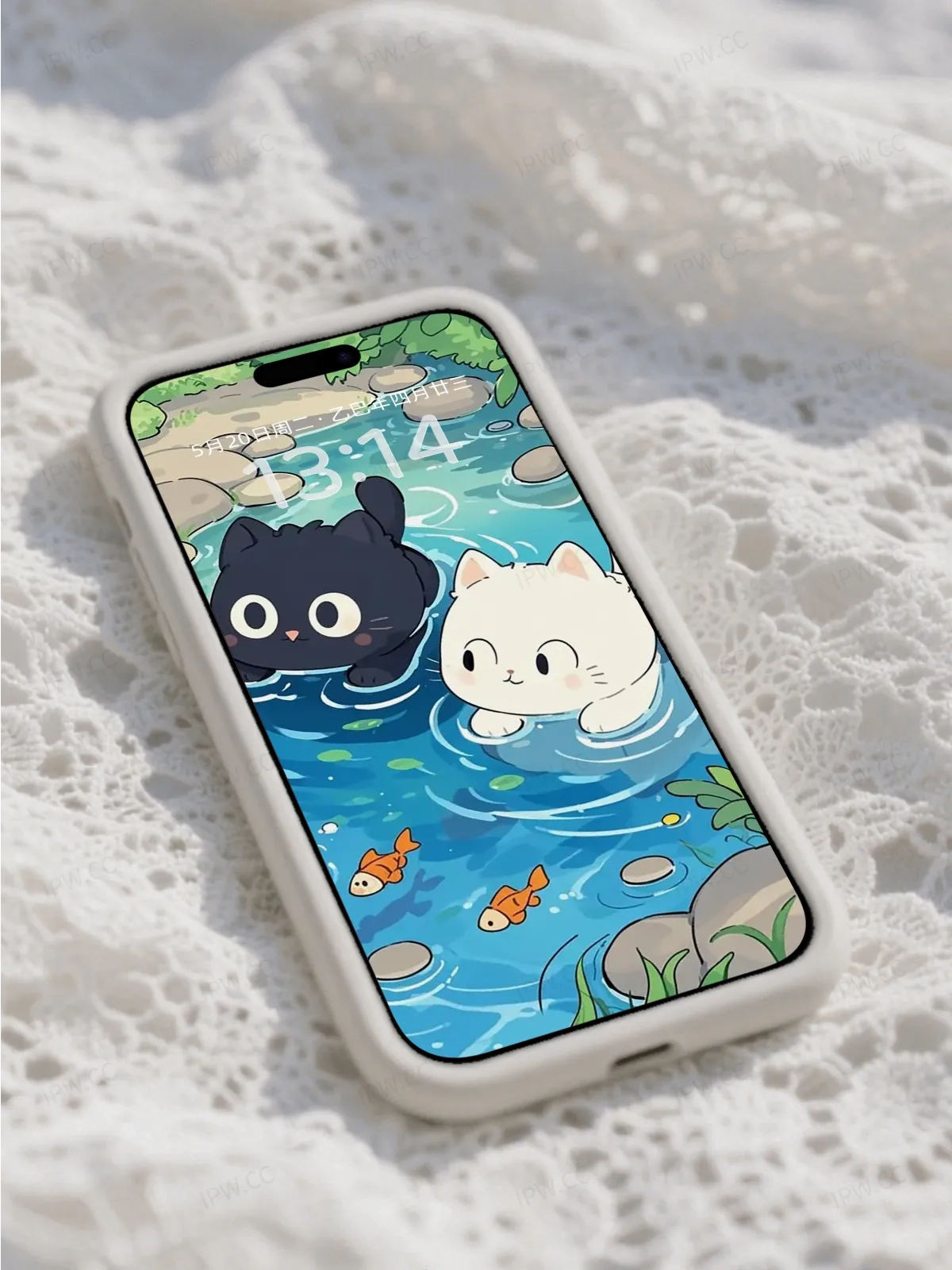 黑猫白猫戏水手机高清静态壁纸#20250730141259 ee04f3a77de48ce