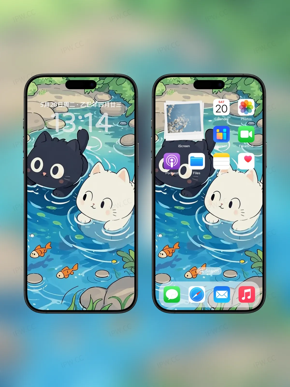 黑猫白猫戏水手机高清静态壁纸#20250730141259 f6c4ab4a883edae