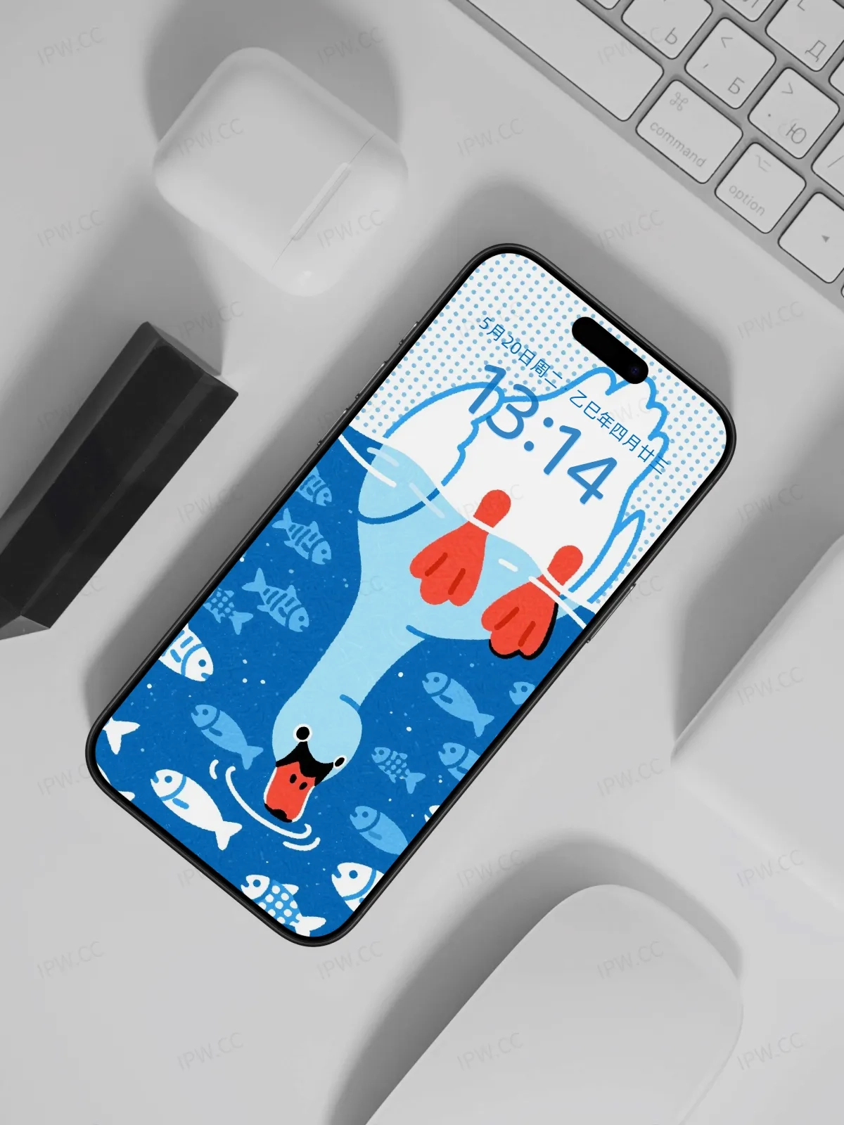 大白鹅喝水手机高清静态壁纸#20250728163127 f79f3cac4b8d5cf