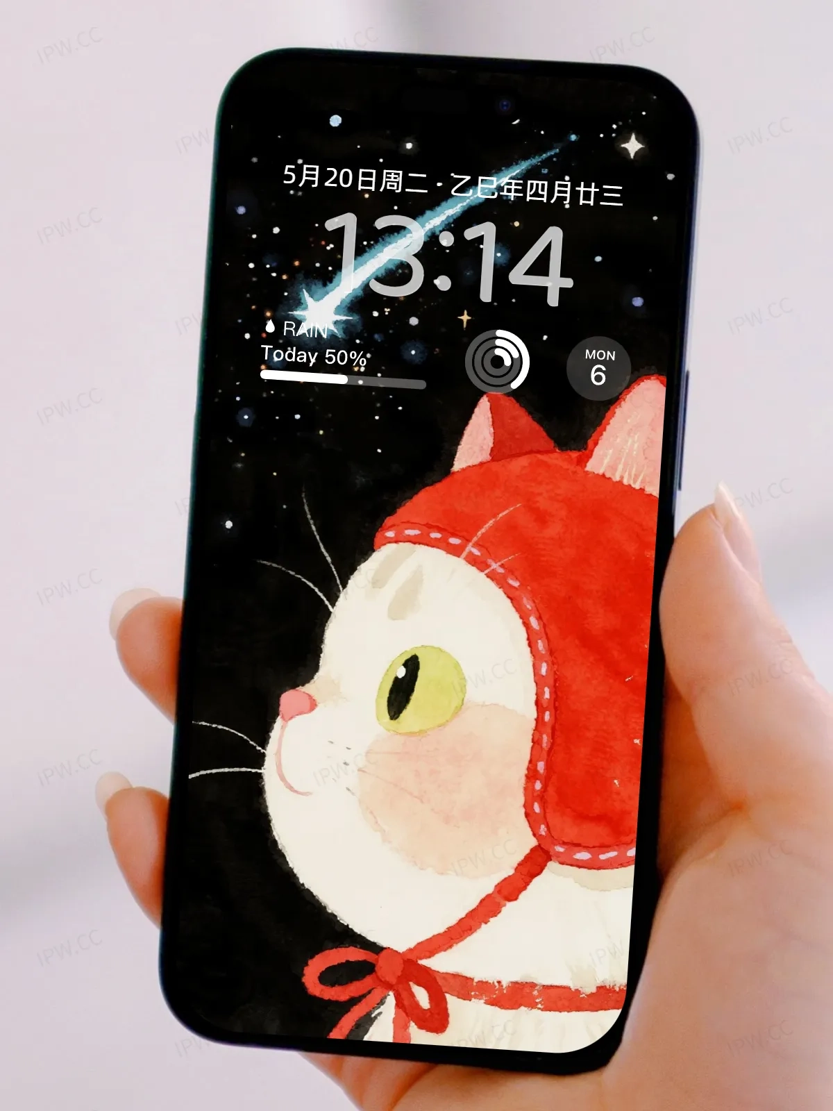 红帽子猫咪手机高清静态壁纸#20250728171908 faf9331f9b4f6a8