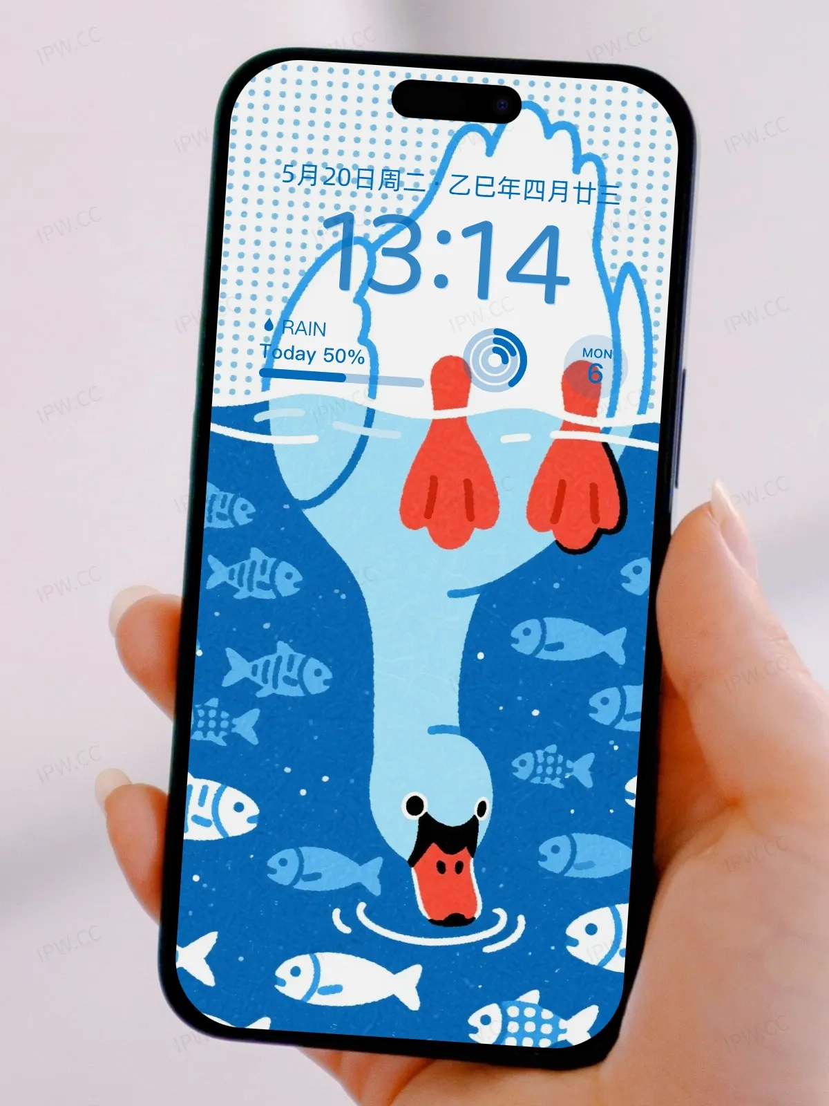 大白鹅喝水手机高清静态壁纸#20250728163127 fe680e1532d4f70