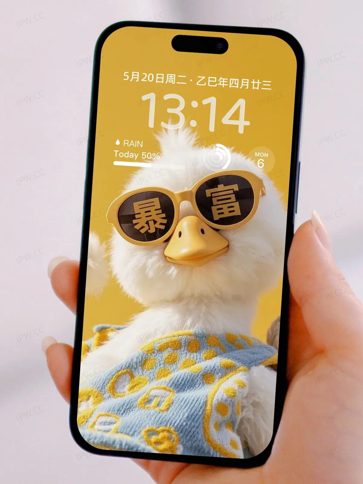 暴富小鸡仔眼镜手机高清静态壁纸#20250728173044 fe6ced3f963f145