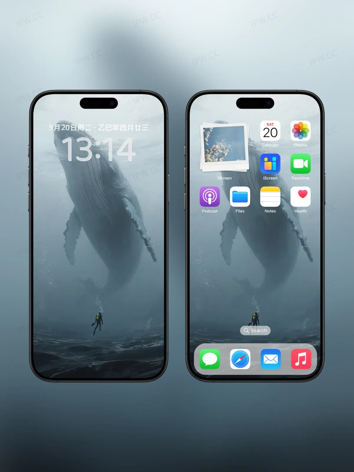 鲸鱼手机高清静态壁纸#20250730142850 02b7f6458debe01