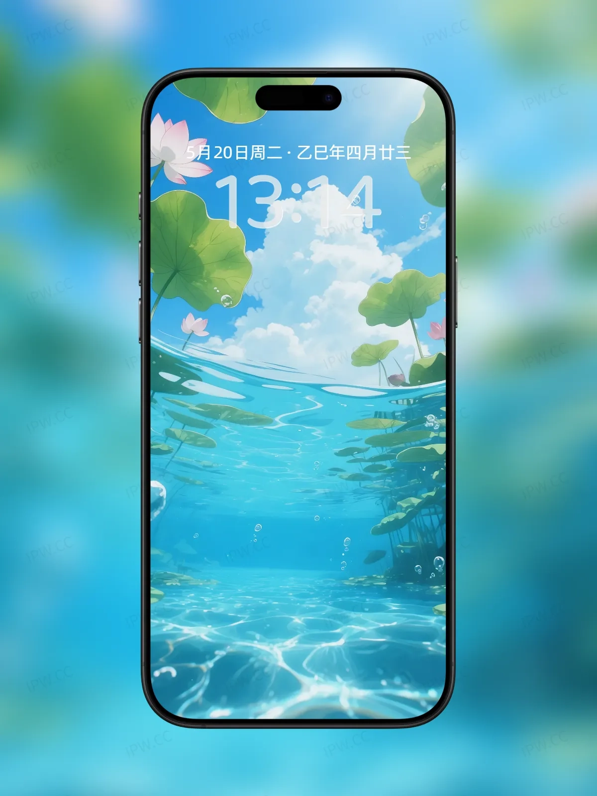 荷塘水中手机高清静态壁纸#20250801230508 050527a3da31cf0