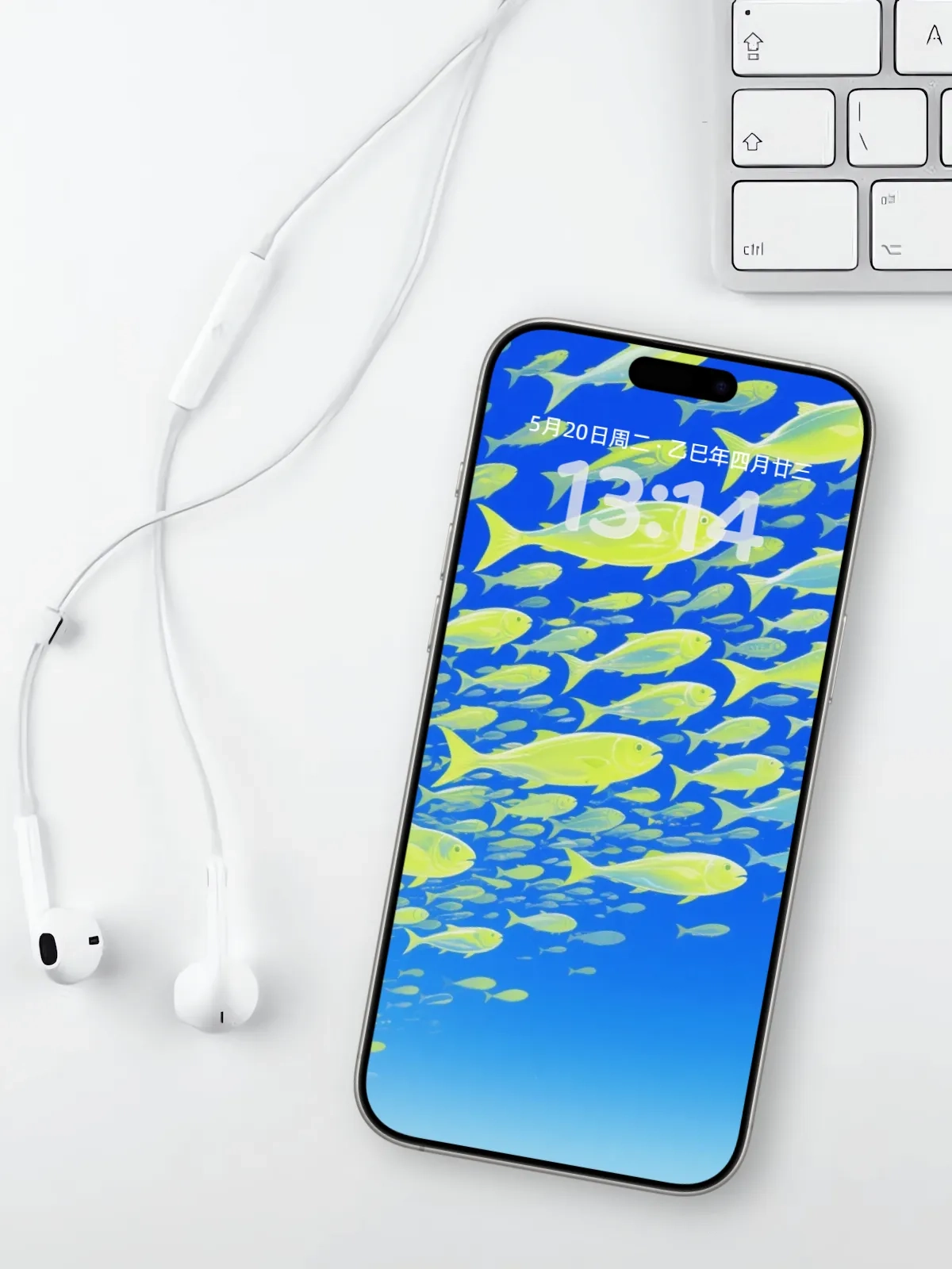 与鱼群一起去迎接更远的海手机高清静态壁纸#20250810123401 061731a7e7adfd6