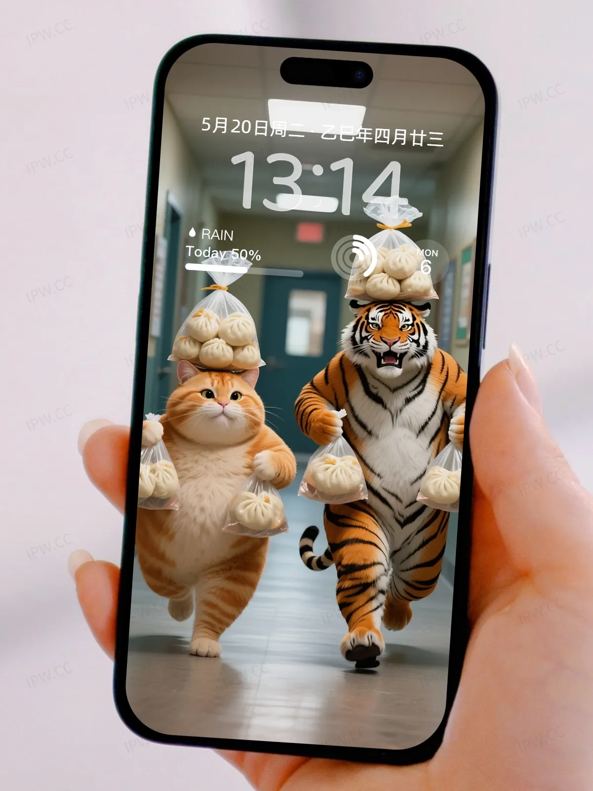 吃货老虎与猫手机高清静态壁纸#20250730142616 08179ec059f2edb