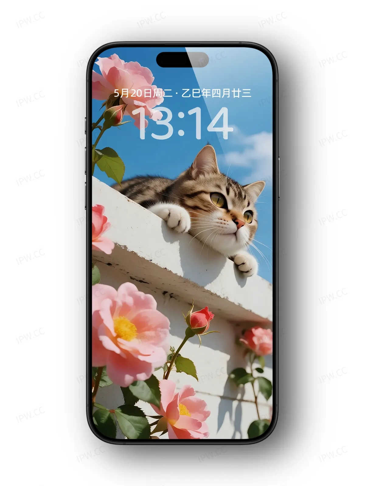 墙上的猫咪手机高清静态壁纸#20250801231745 10acb0dd8db47fa