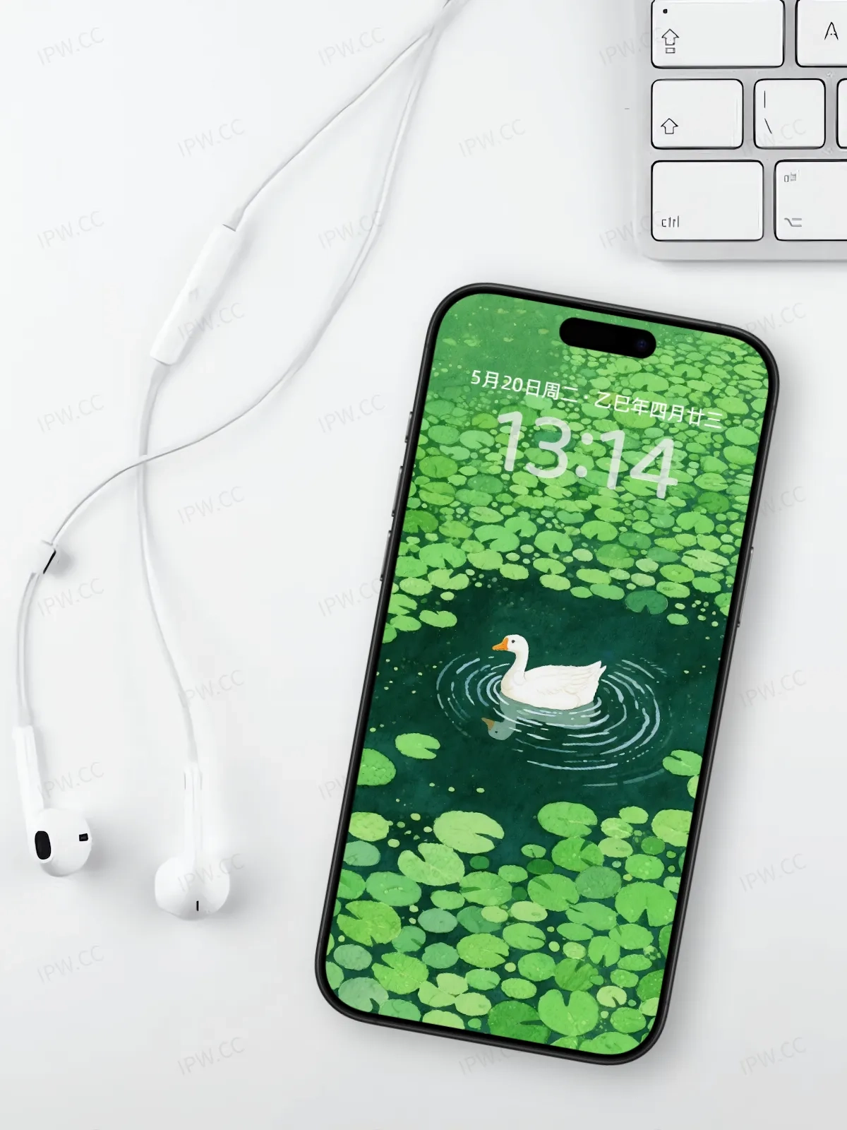 绿水白鸭手机高清静态壁纸#20250801231642 14329a392784708