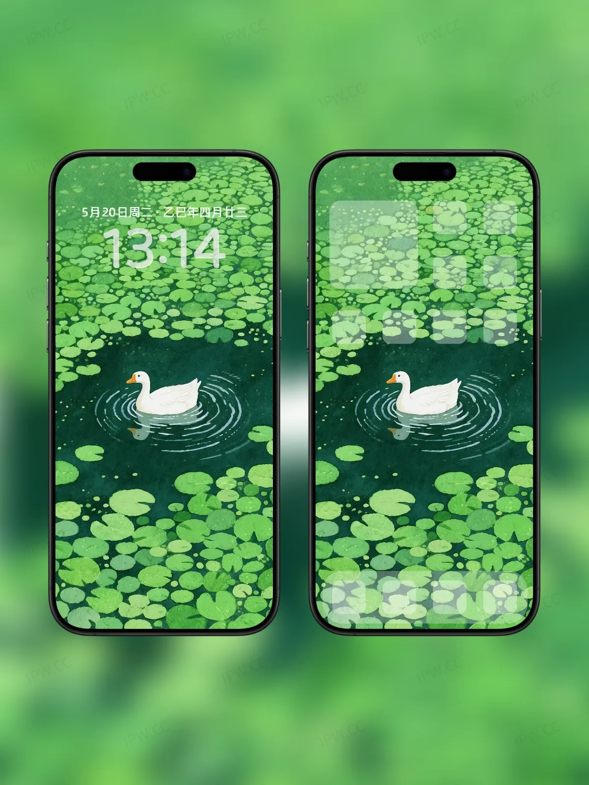 绿水白鸭手机高清静态壁纸#20250801231642 15ec9197a15d57e