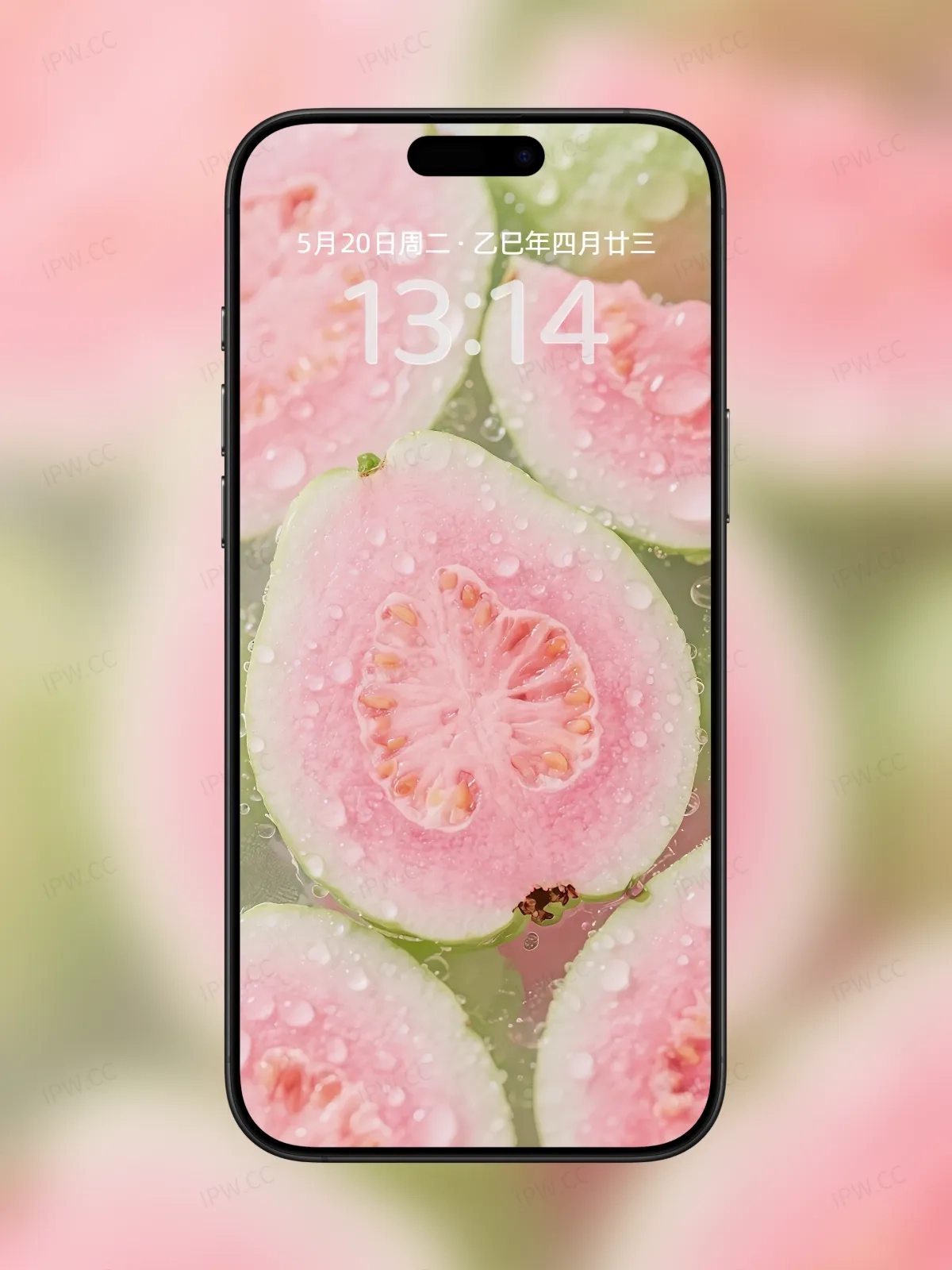 番石榴手机高清静态壁纸#20250801230409 1d825d1787ba81c